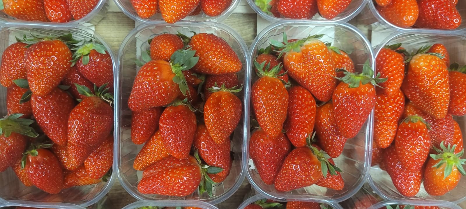 FRAISES MARIGUETTES - 250g