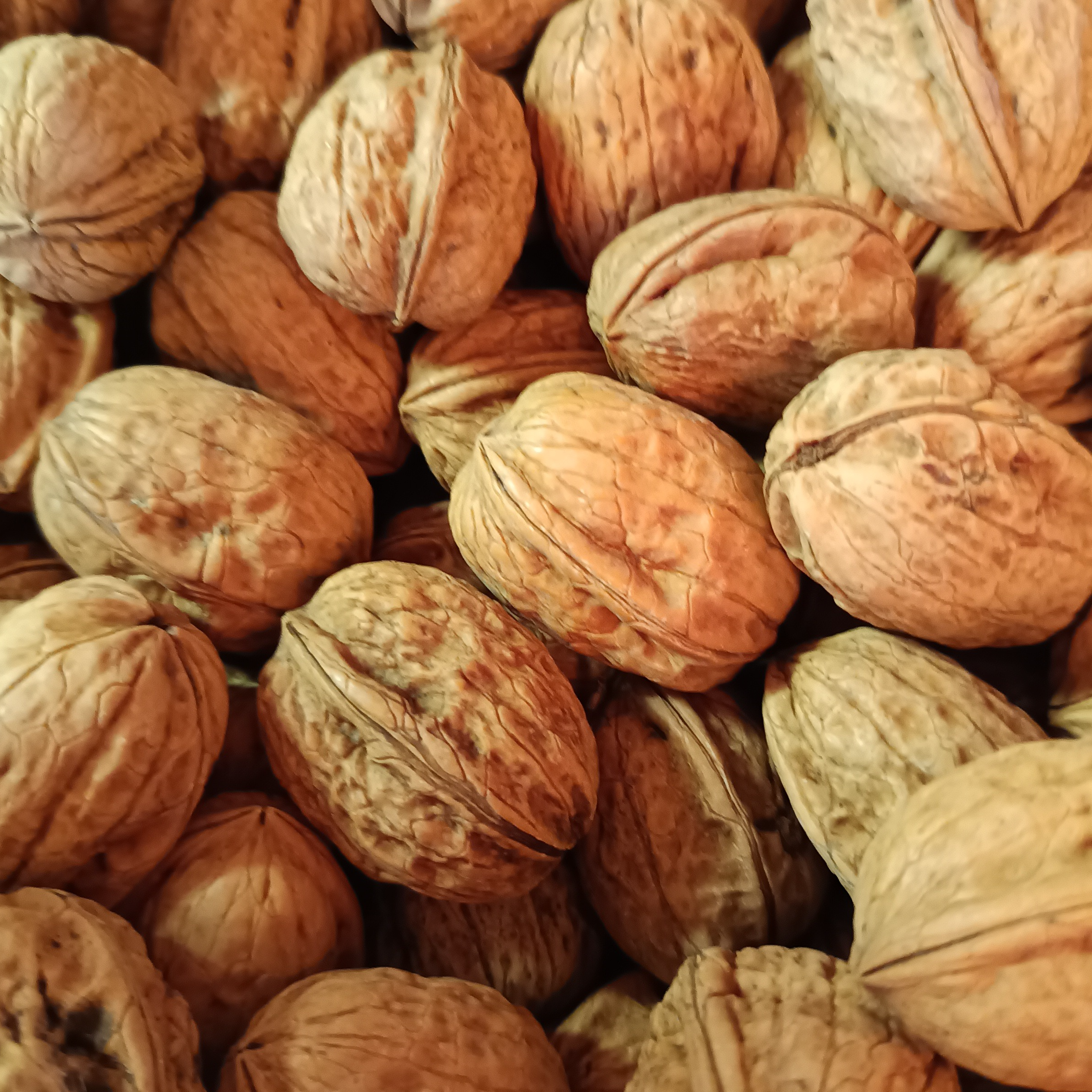 Noix en Coque -500 g.) - 500g