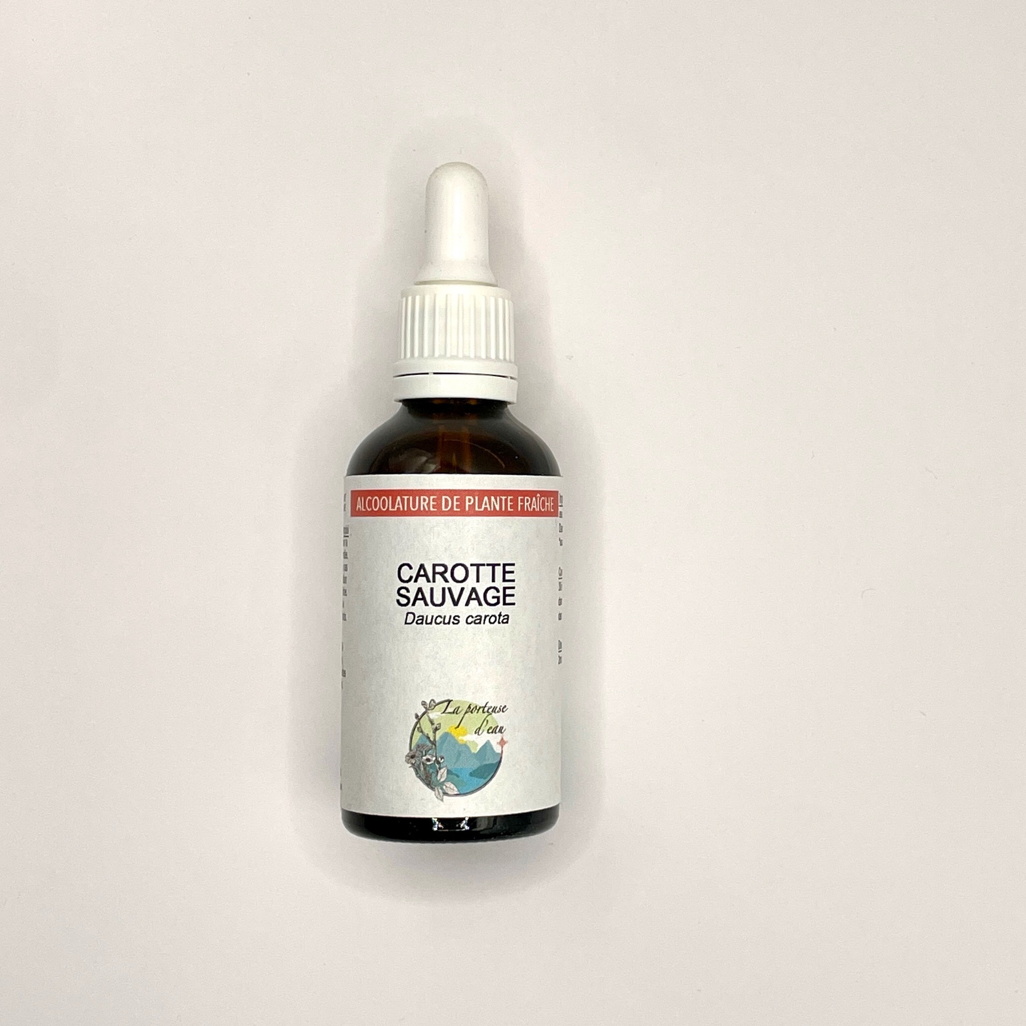 Carotte sauvage, Daucus carotta - 50ml