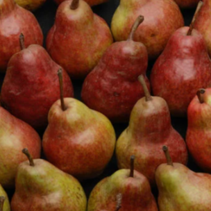 Poire Williams Rouge (gros cal.) - 400g