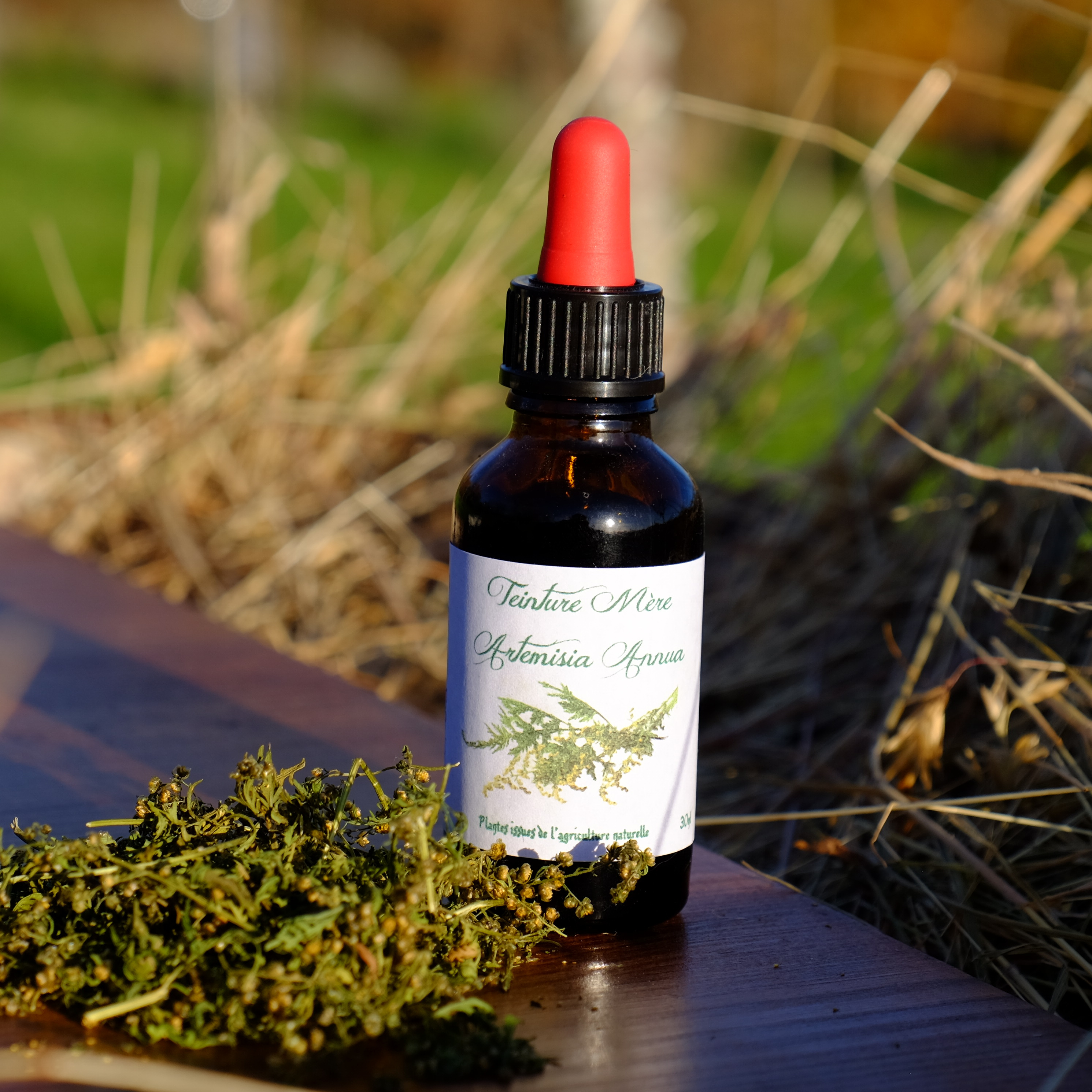 Alcoolature "Artemisia Annua" - 30ml