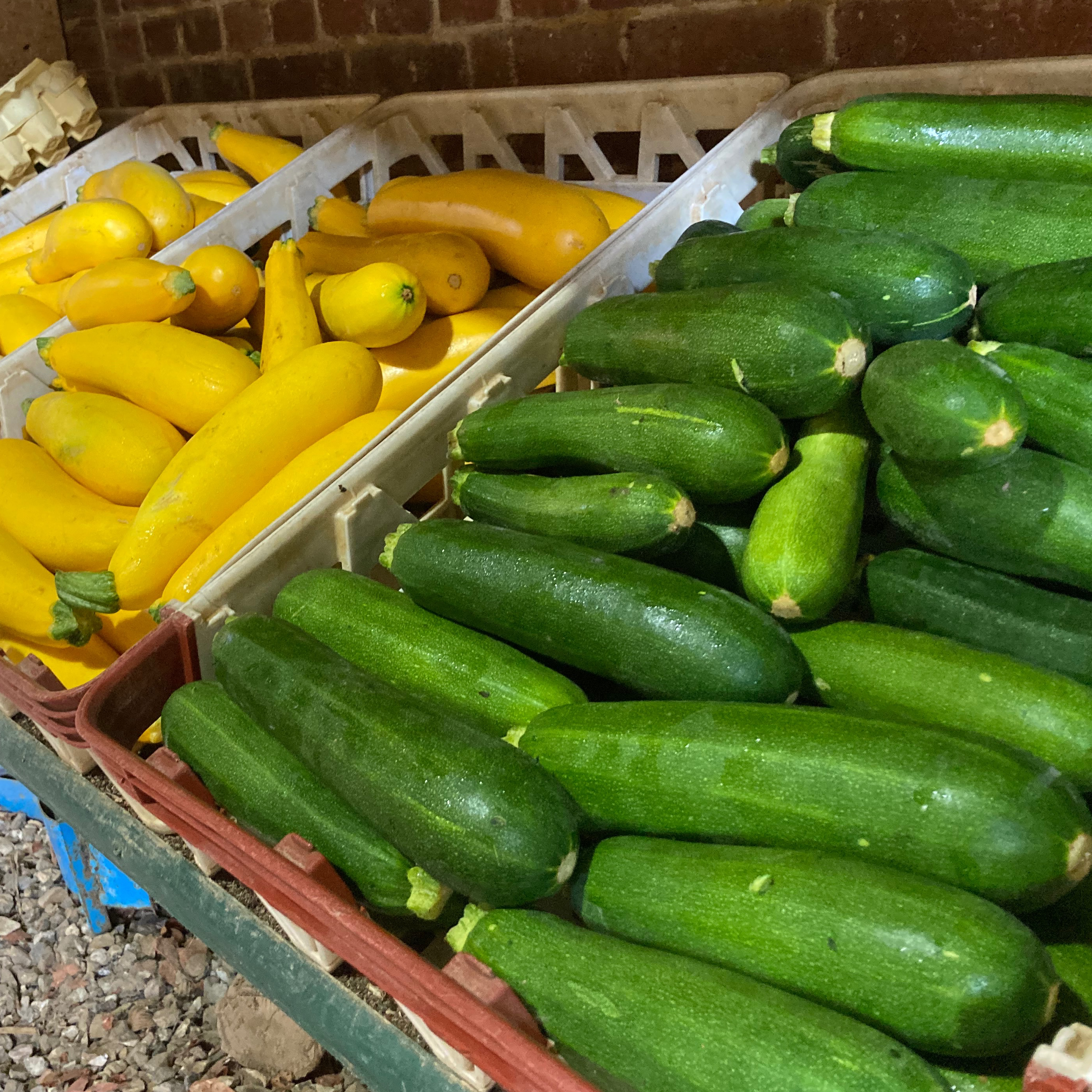 Courgettes