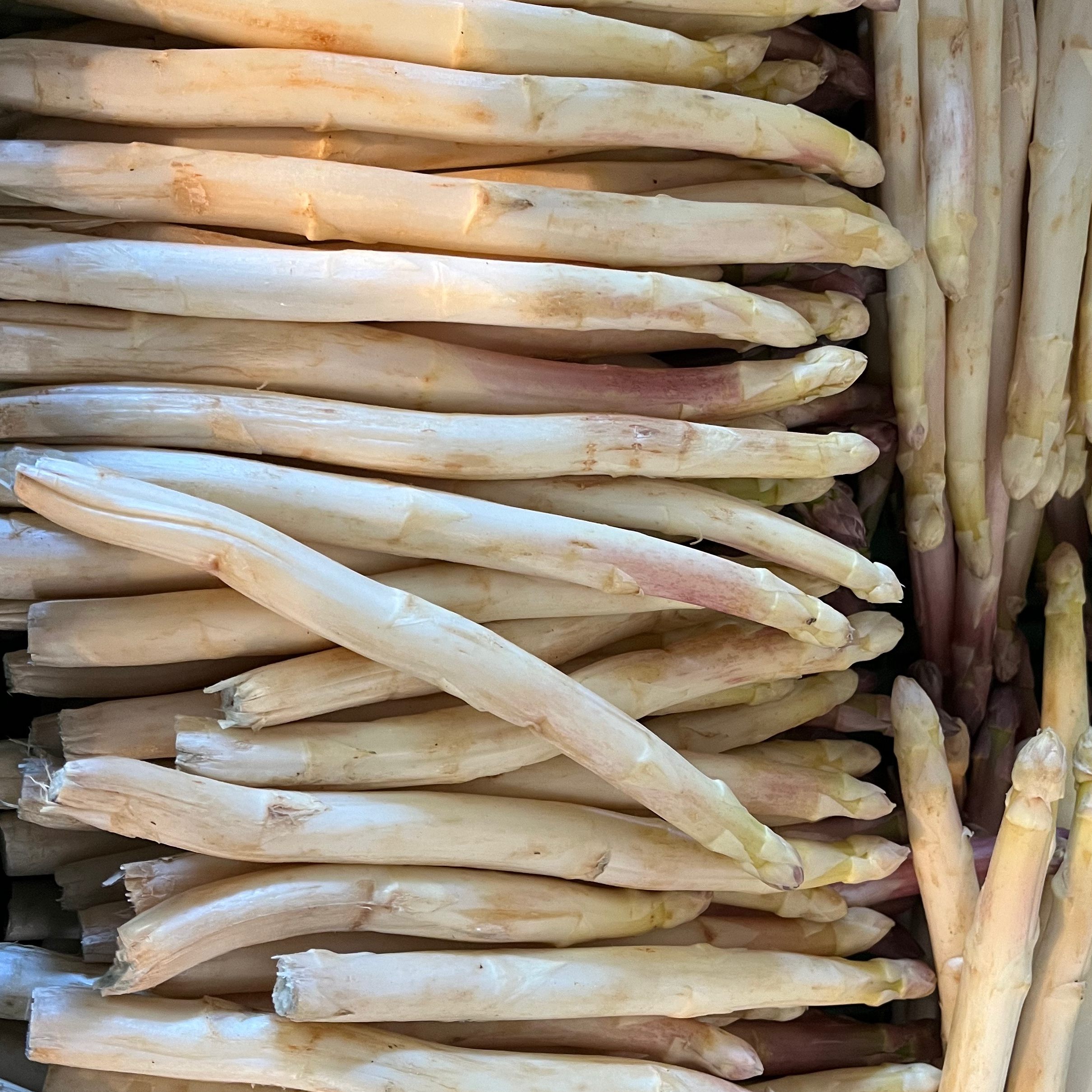 Asperges Blanches