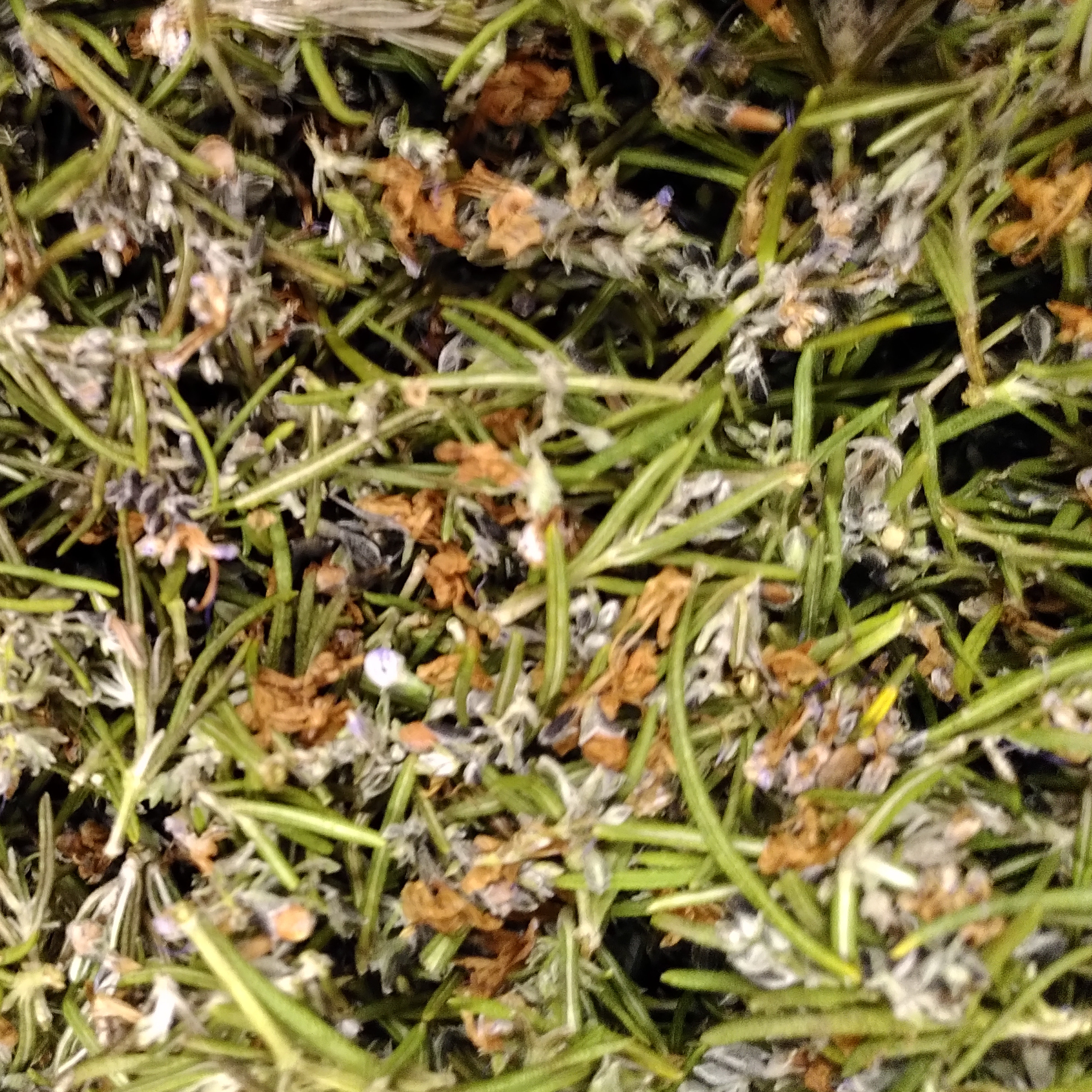 INFUSION SIMPLE ROMARIN - 40g