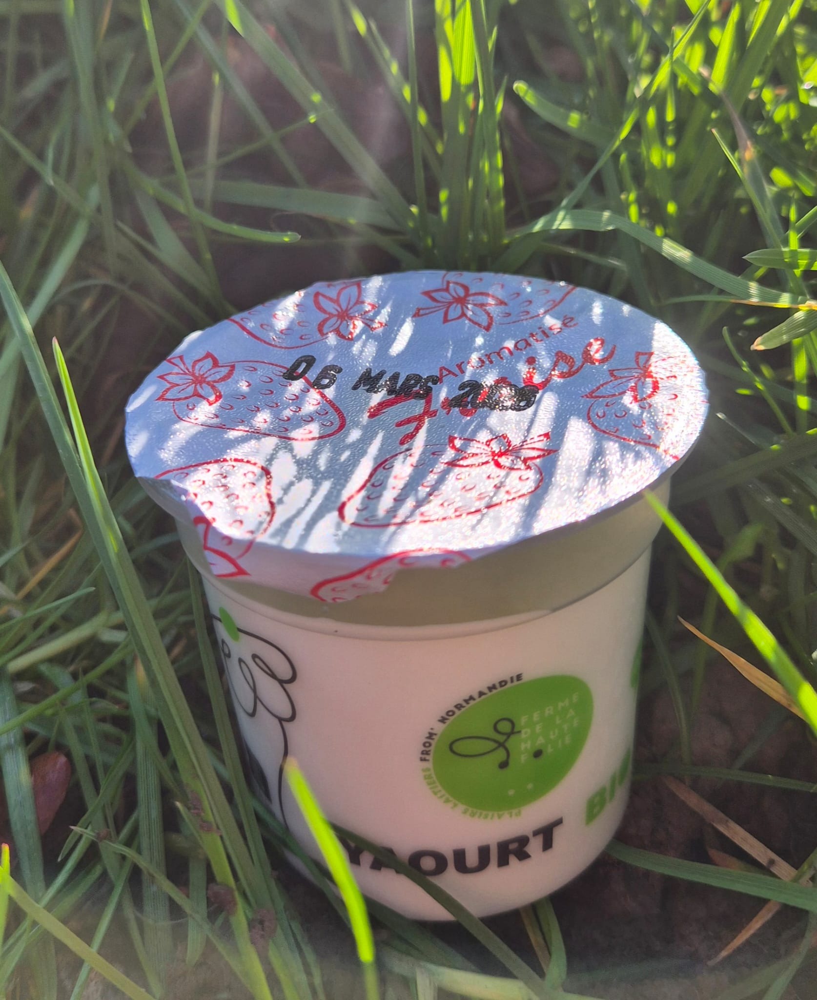 Yaourt aromatisé Fraise - 100g