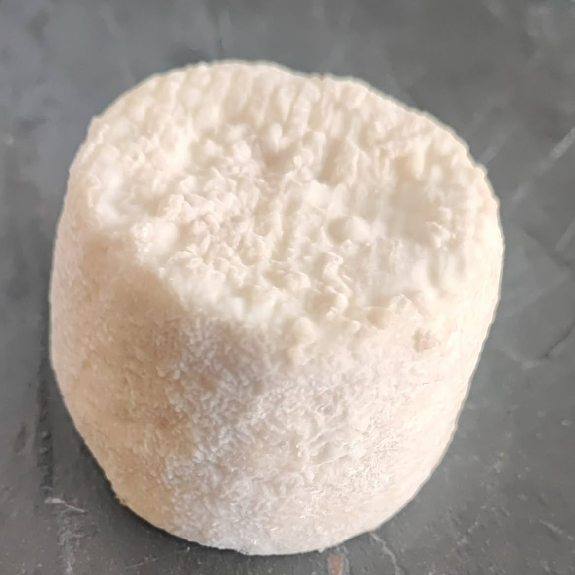 crottins au lait cru de chèvres