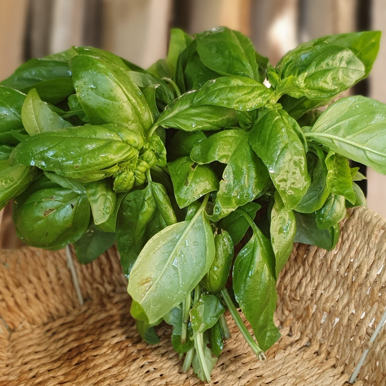 Basilic (bouquet)