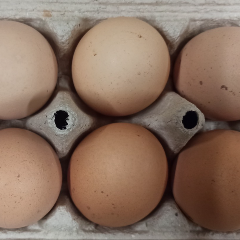 12 Oeufs