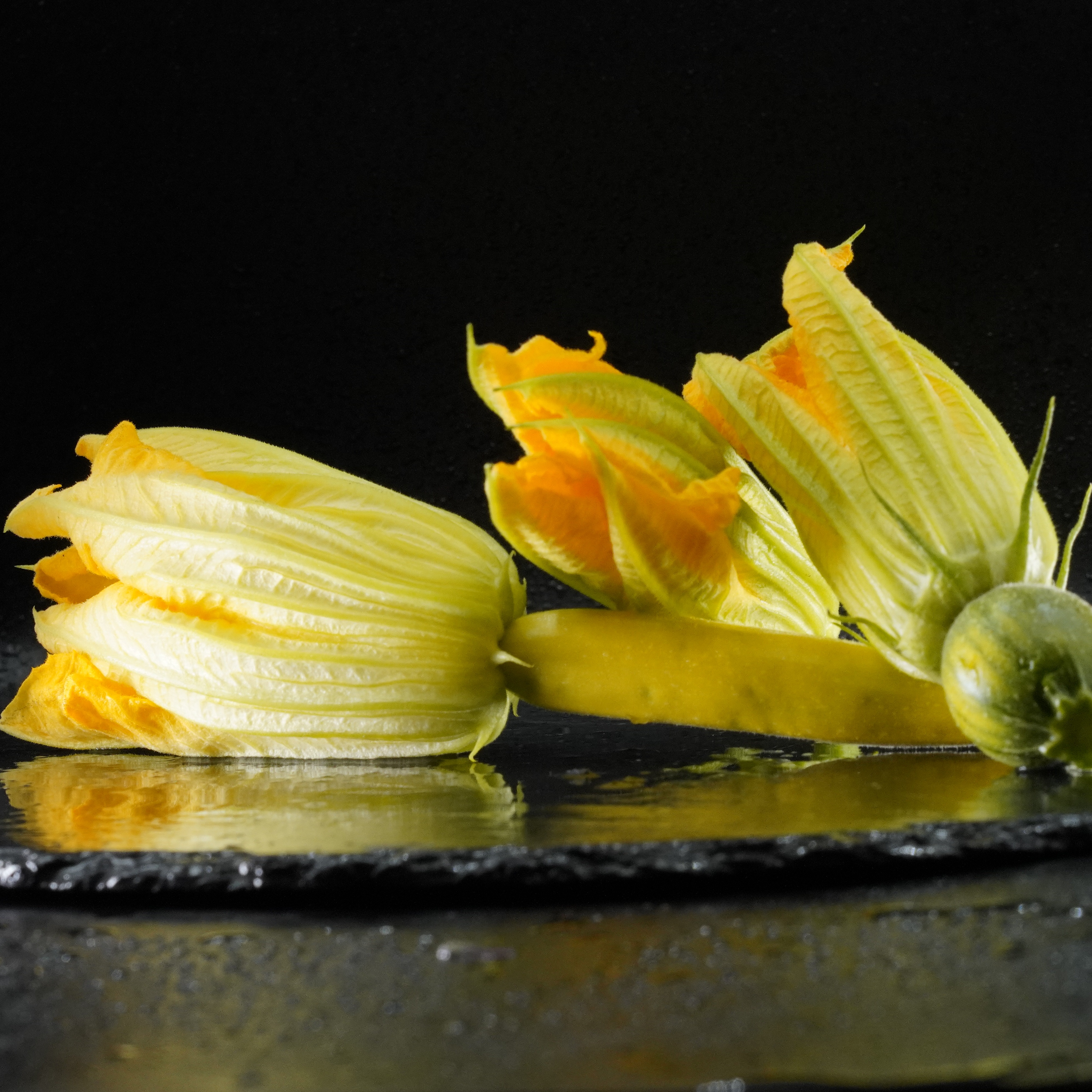 Fleurs de courgette