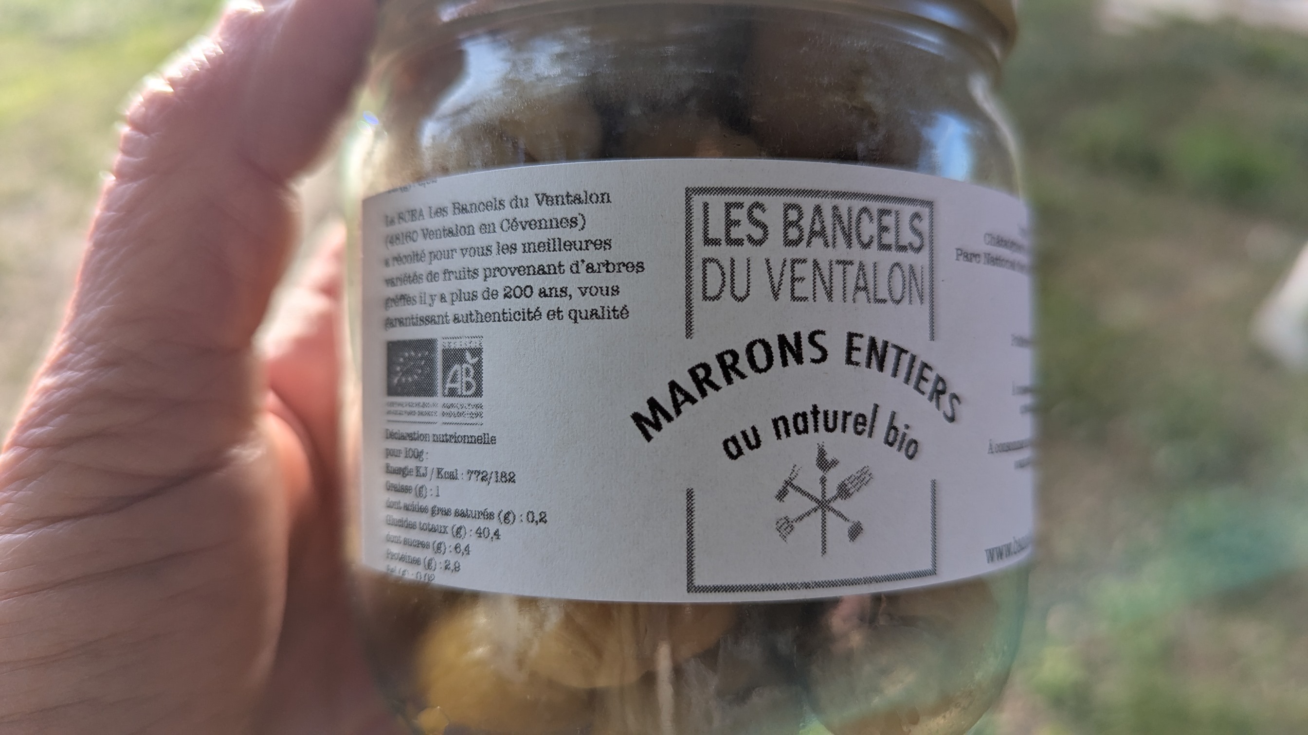 Châtaignes au naturelle