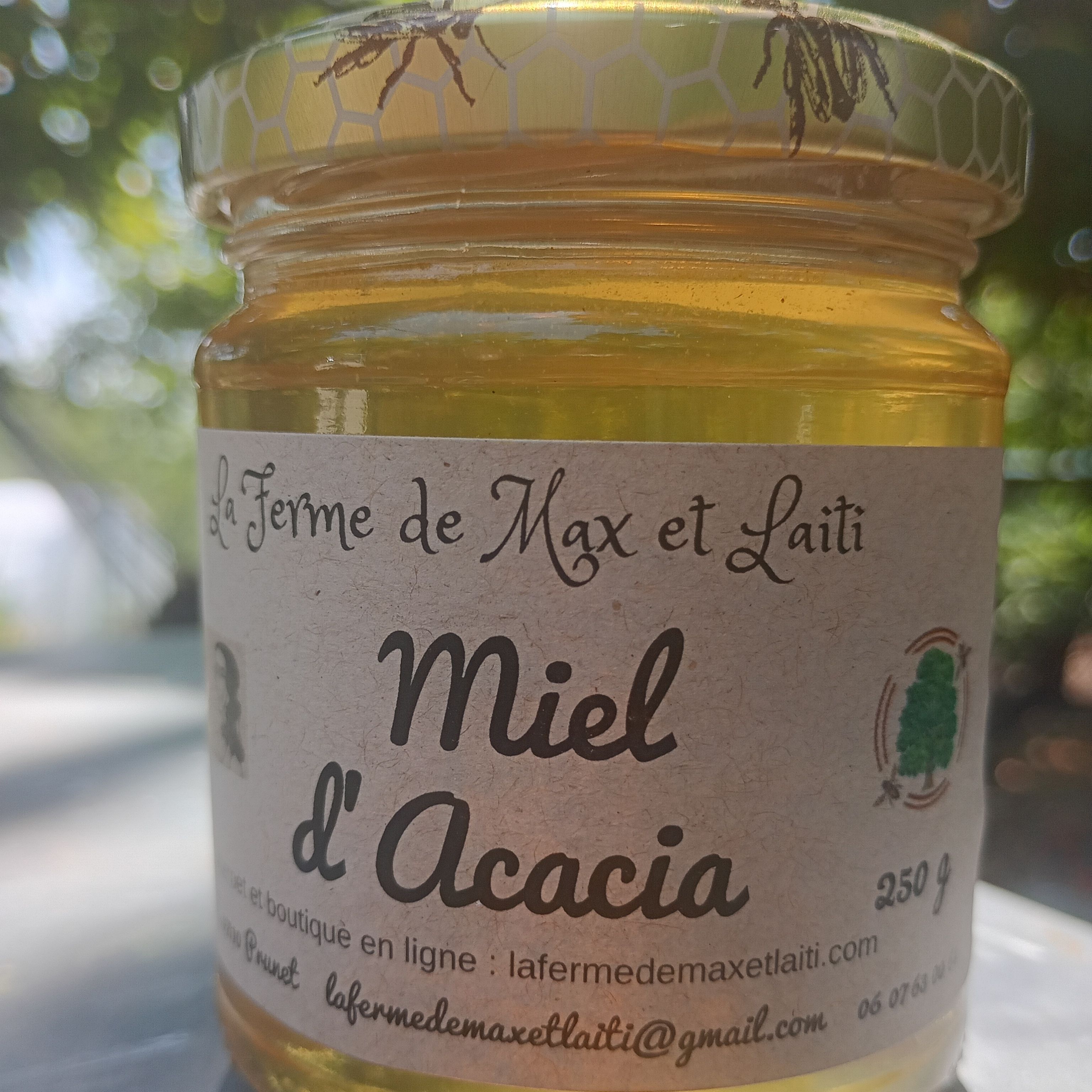 Miel d'acacia
