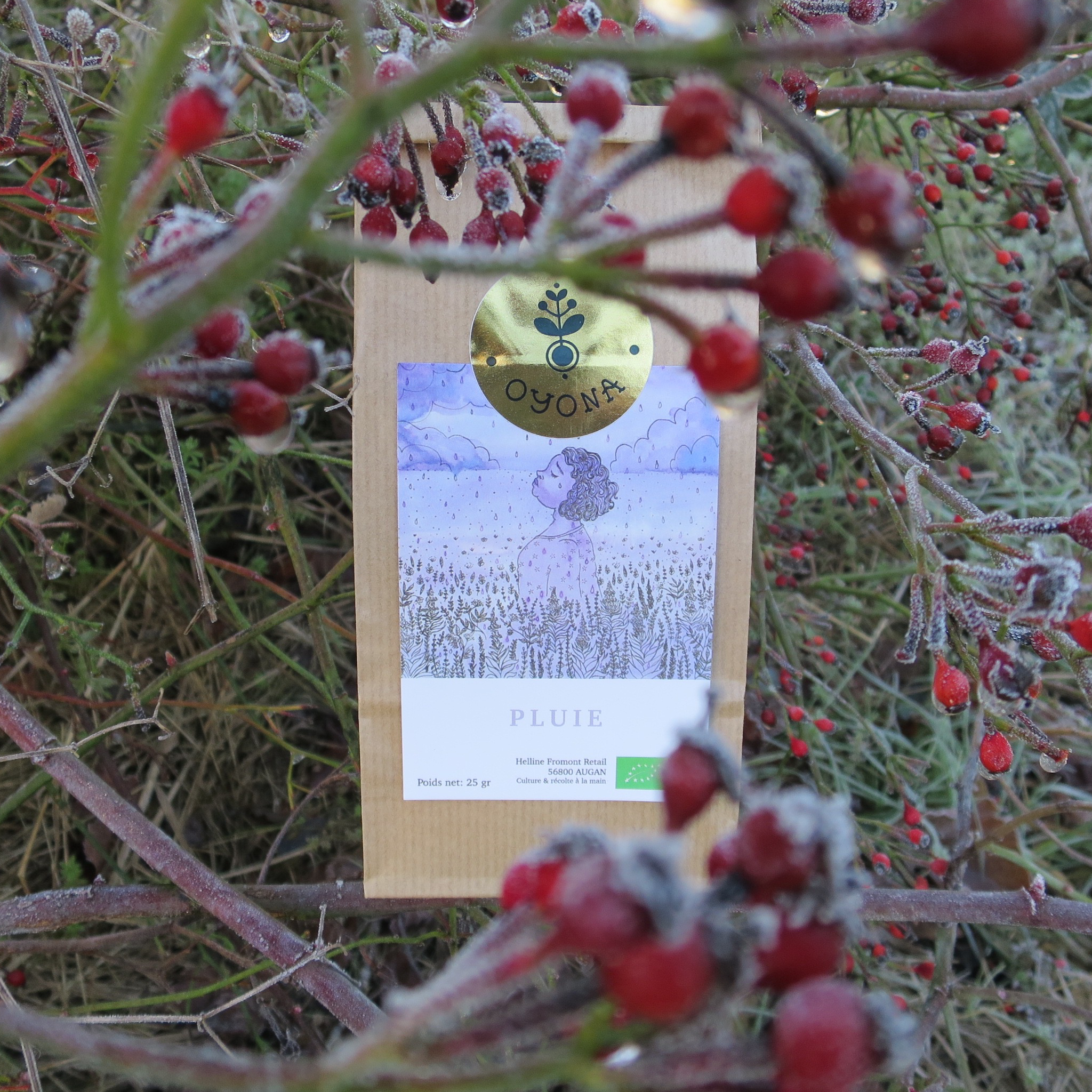 Pluie - 25g