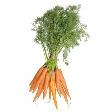 Carottes Fane