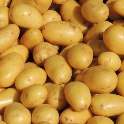 Pomme De Terre Ferme