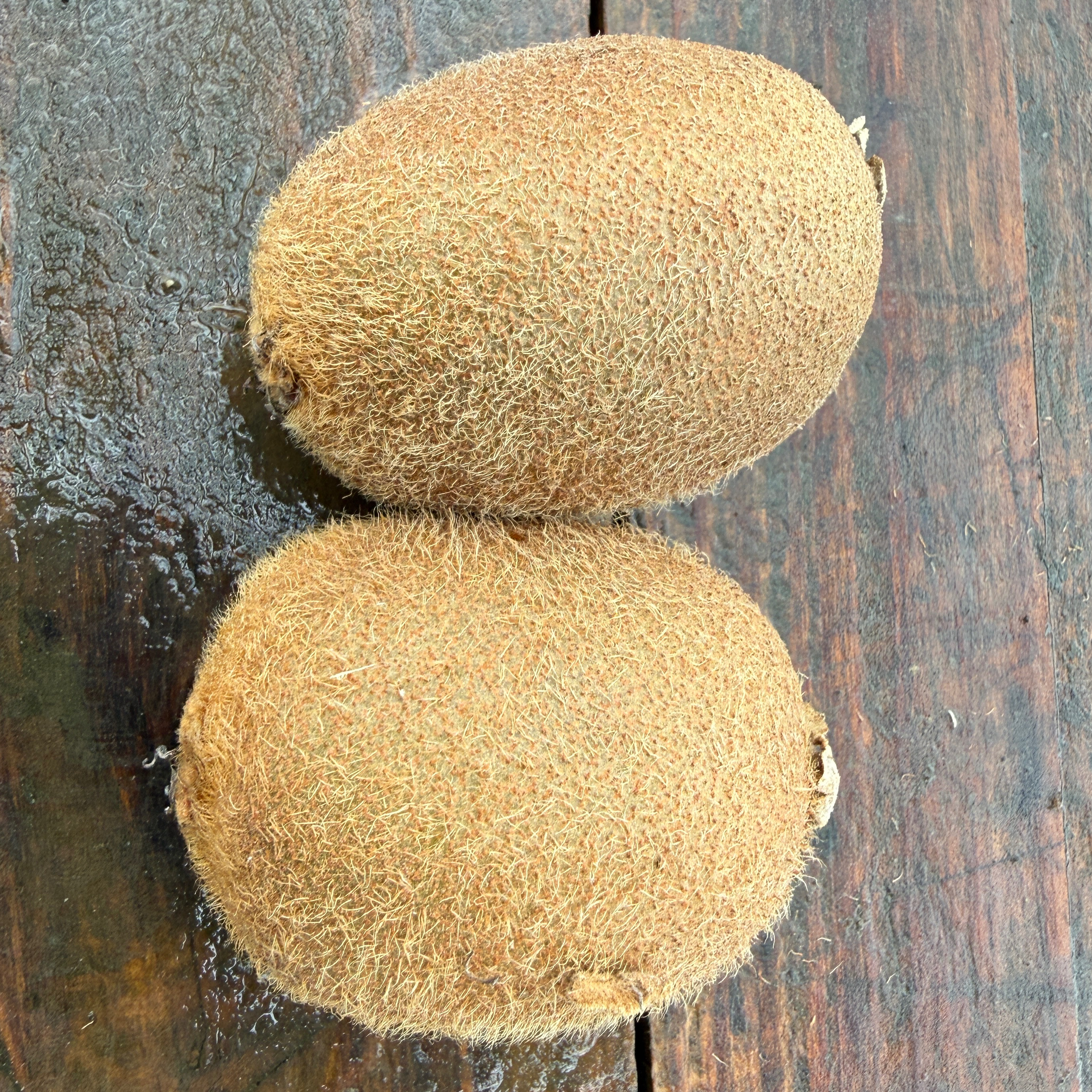 Kiwi jaune bio lot de 5