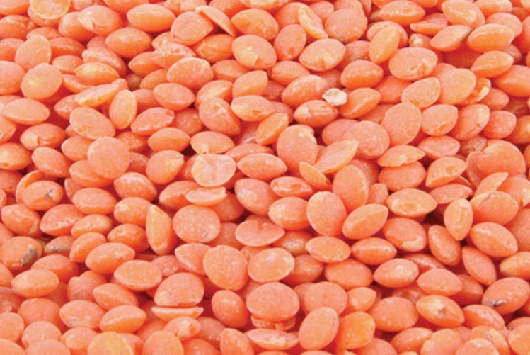Lentilles corail - 500g