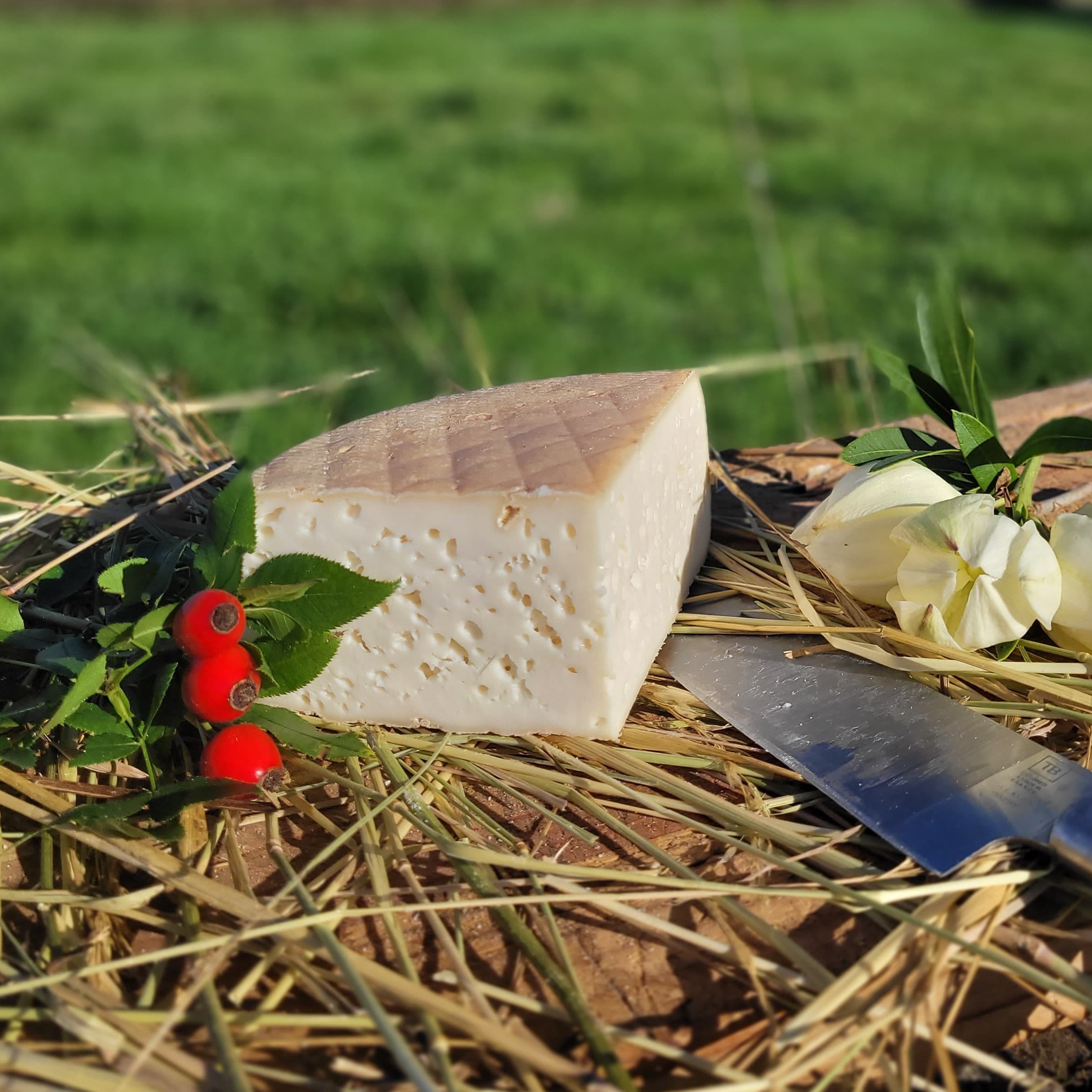 1/4 Raclette de chèvre - 500g