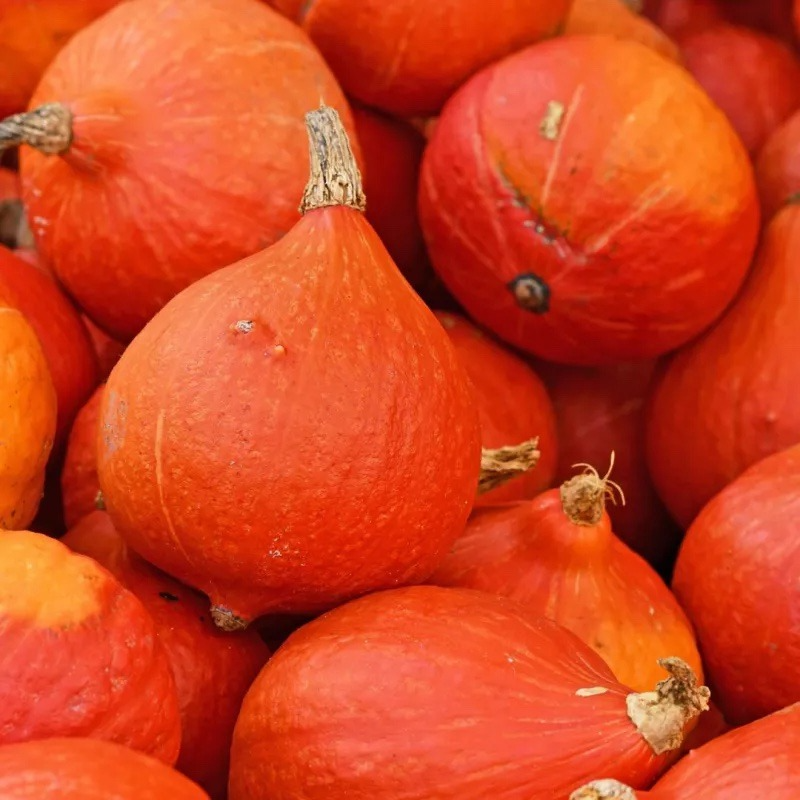 Courge Potimarron (vrac)