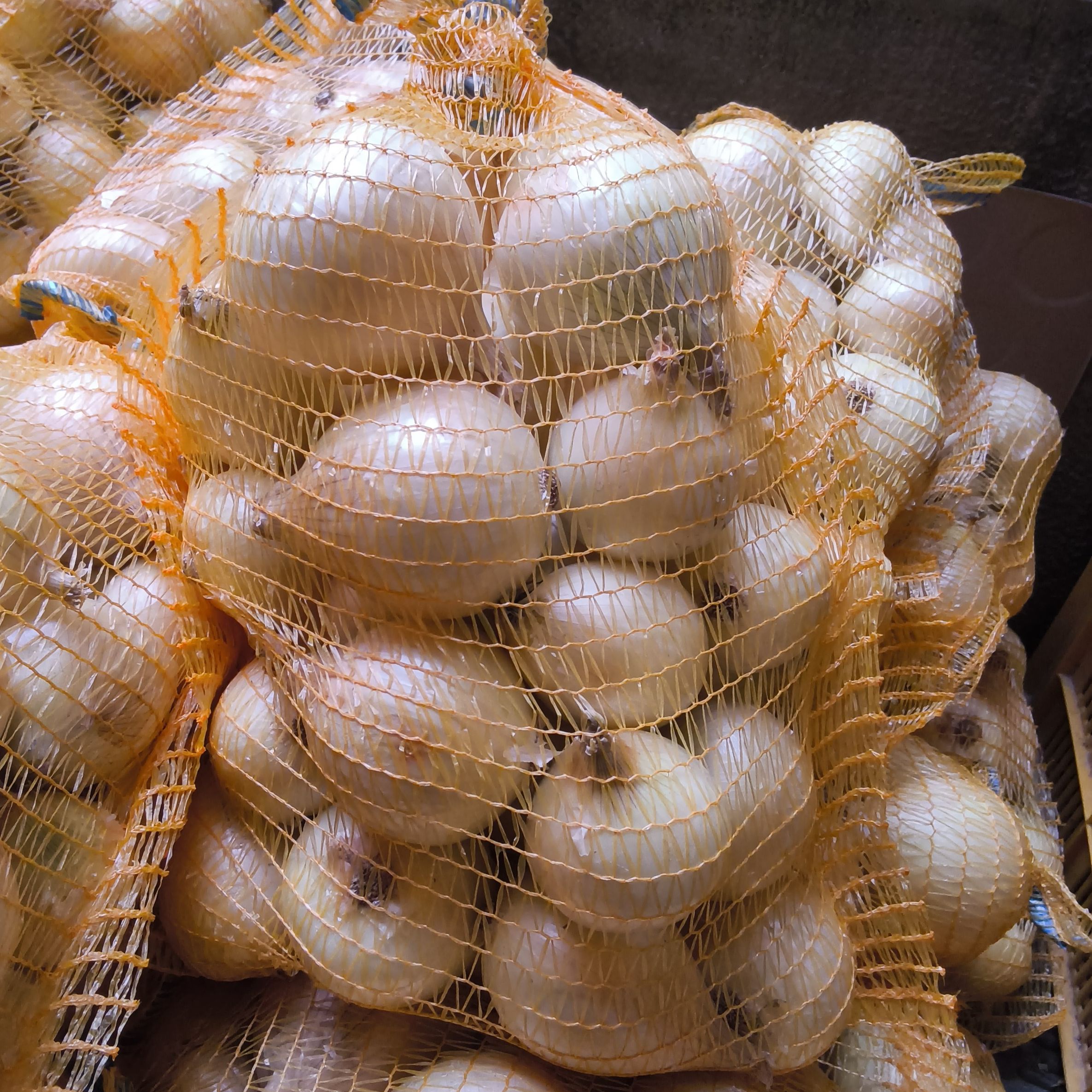 Oignon doux des Cévennes sac 5 kg