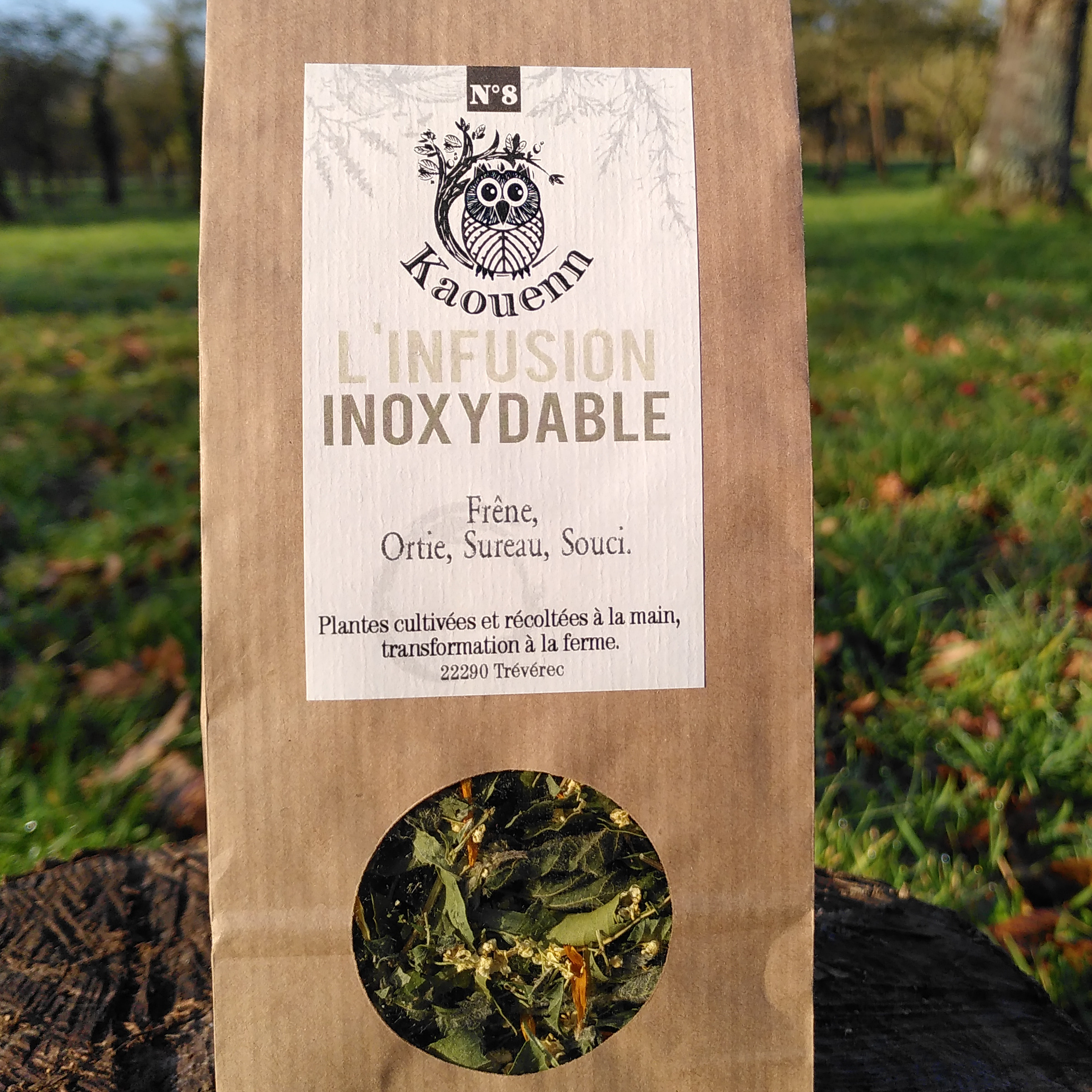 INFUSION INOXYDABLE - 25g