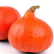 Potimarron
