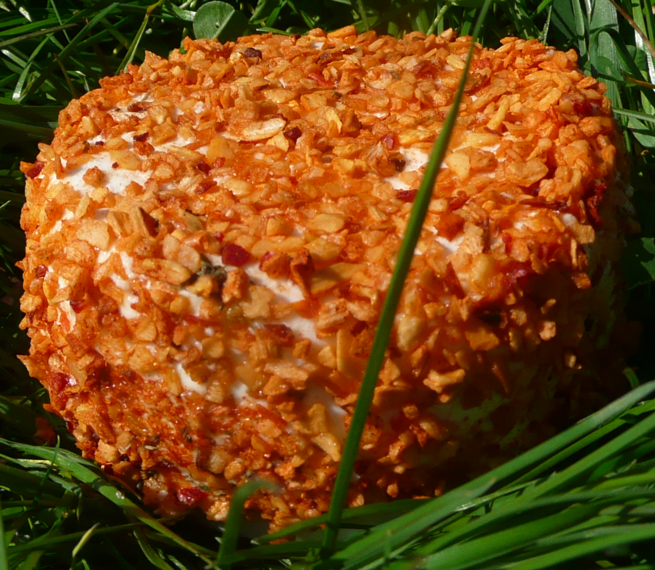 Oignor, paprika, gingembre - 130g