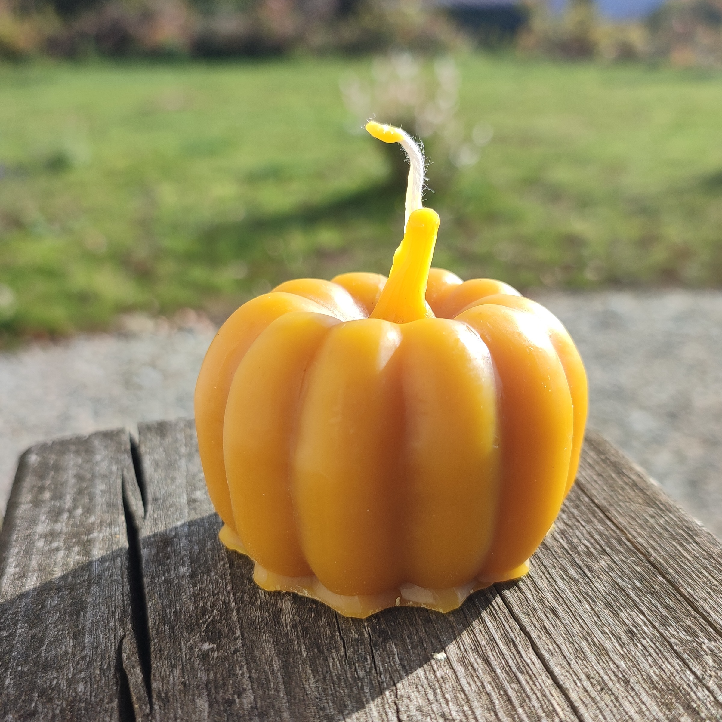 Citrouille