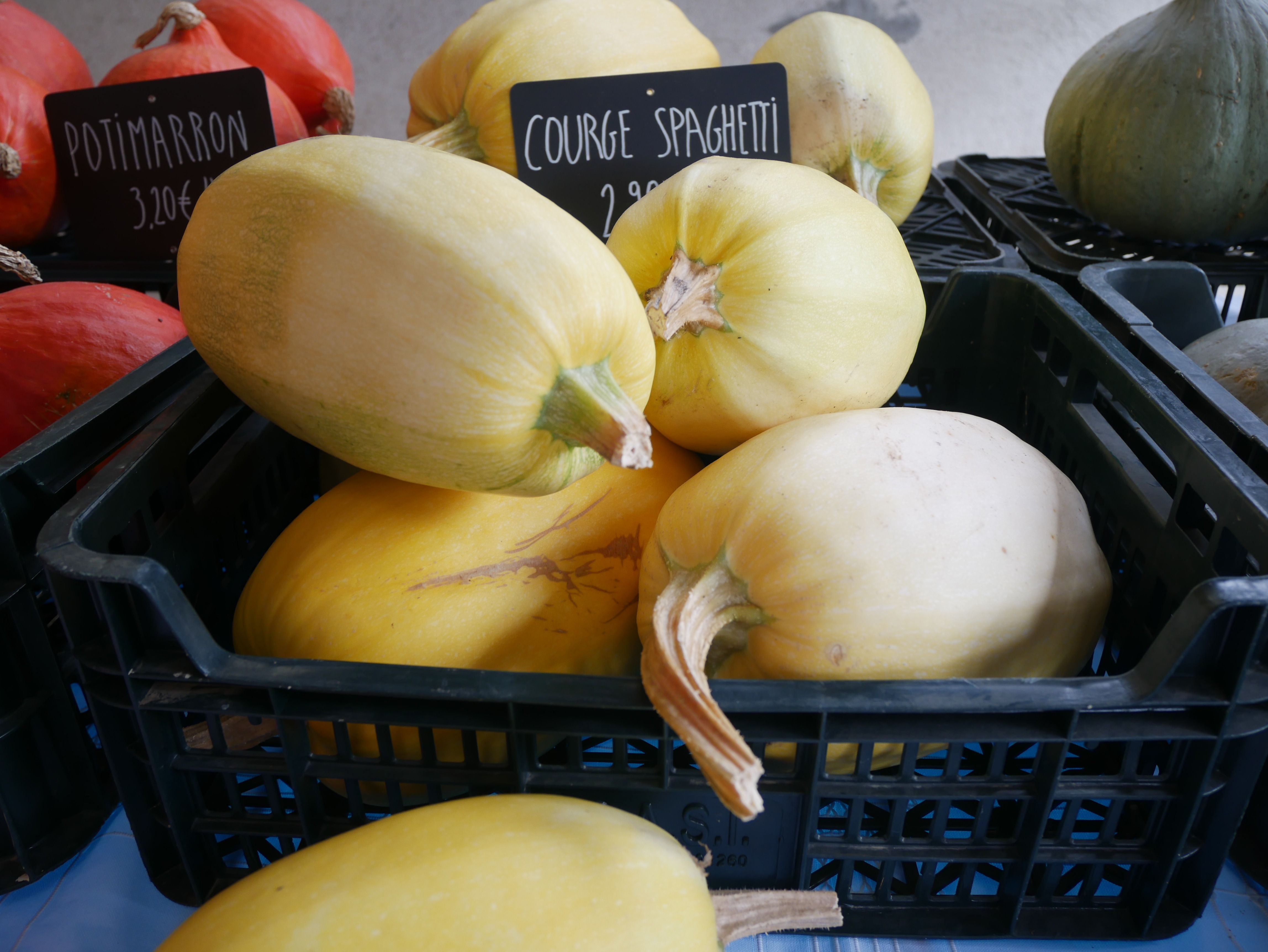 Courge spaghetti - 1kg