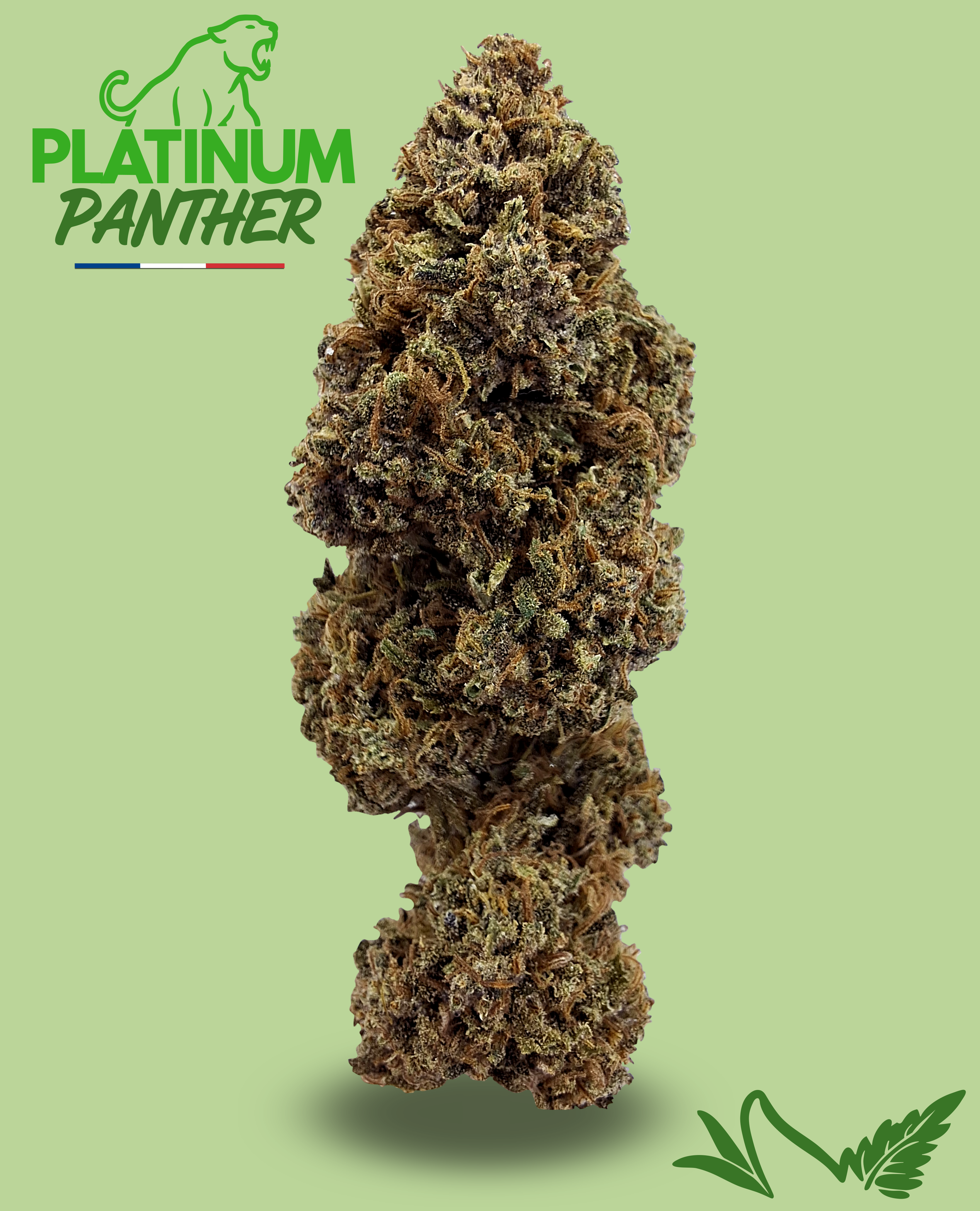 PLATINUM PANTHER CBD