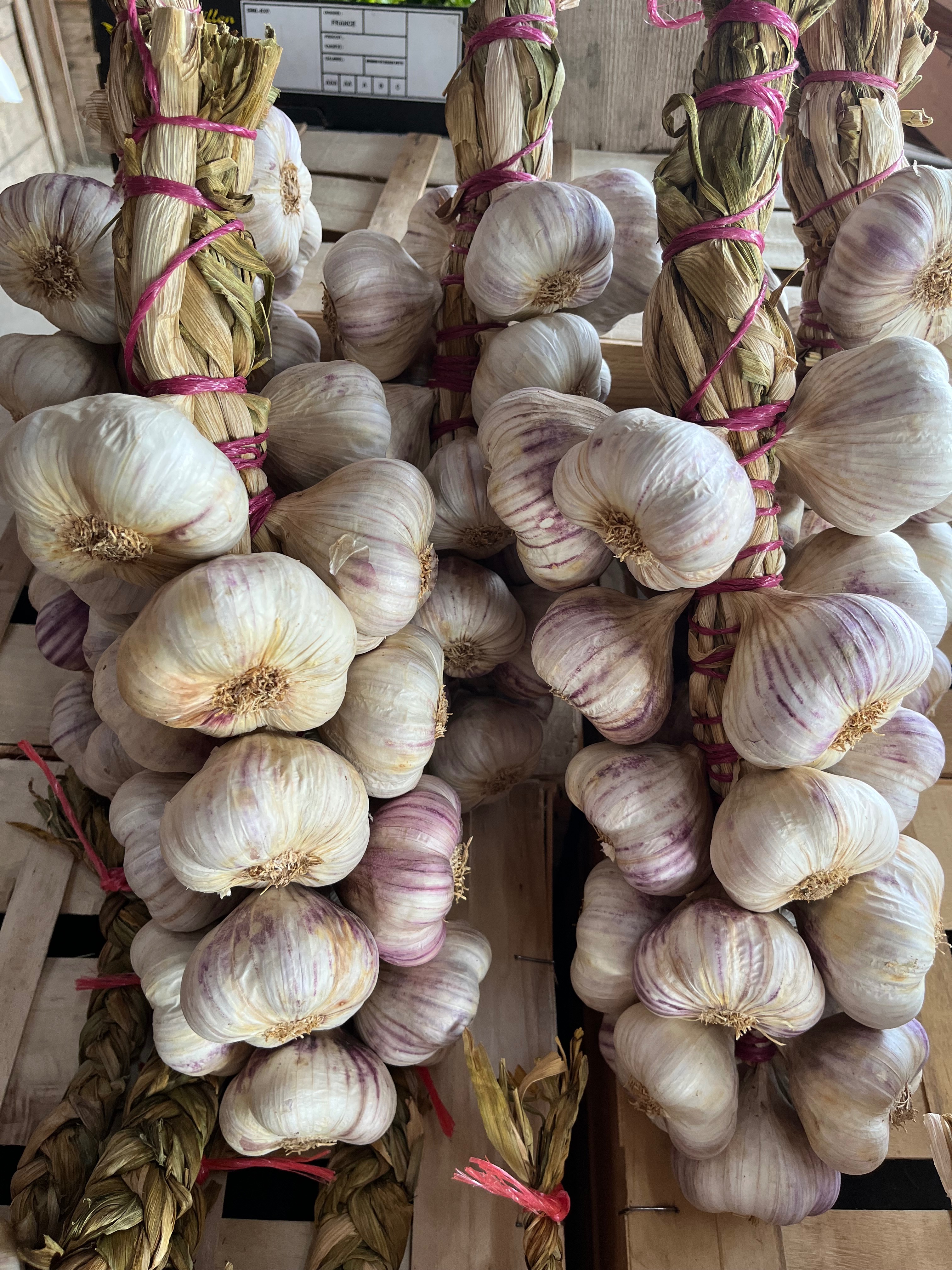 AIL VIOLET MANOUILLE 2KG