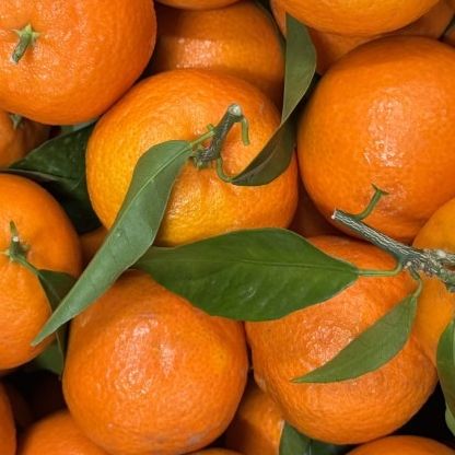 Clementine pei