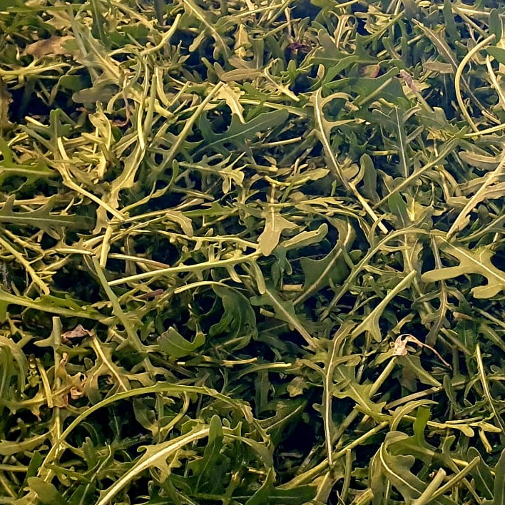 Roquette - 250g
