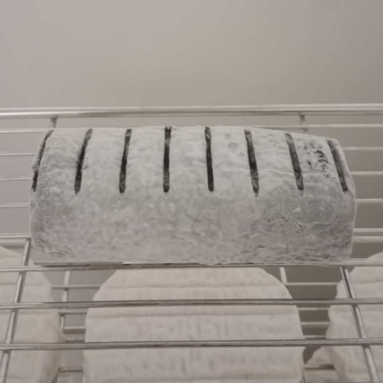 Bûche cendrée (de chèvre) - 180g