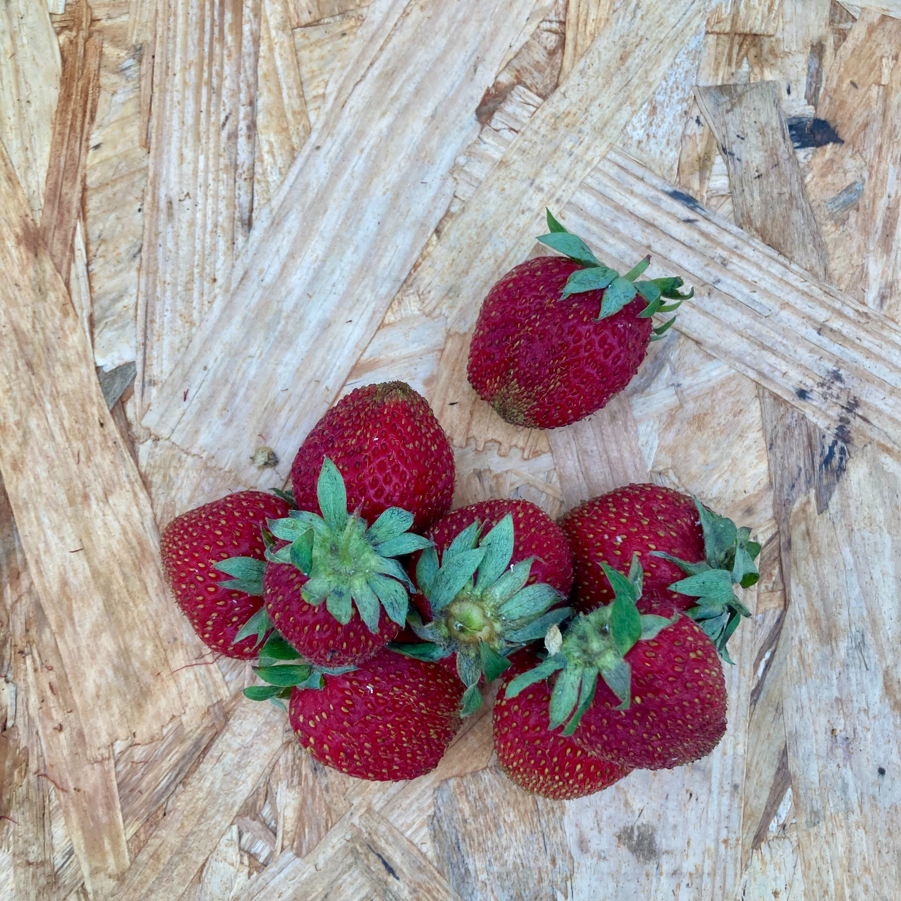 Fraises - 250g