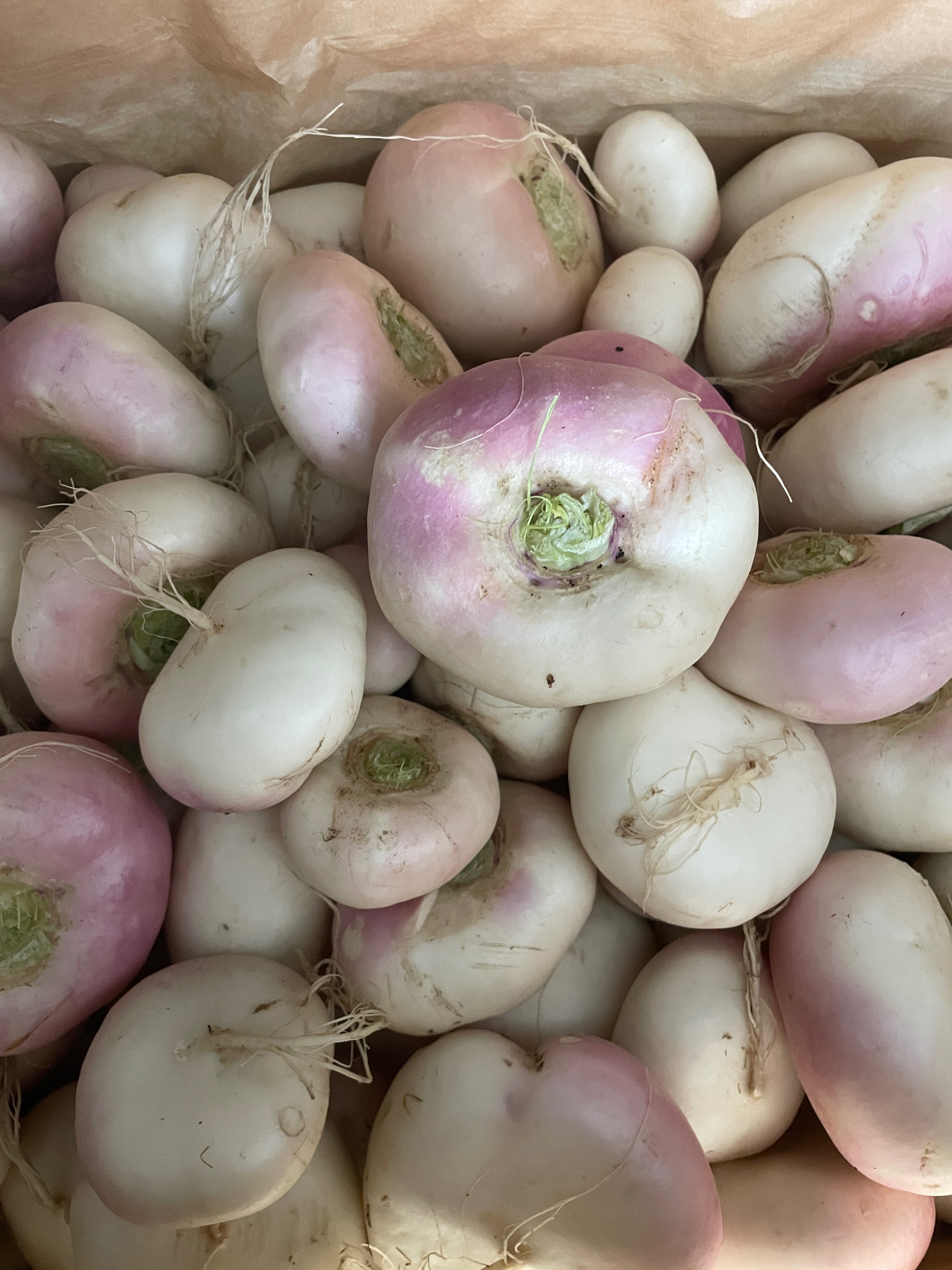 Navet nouveau - 500g