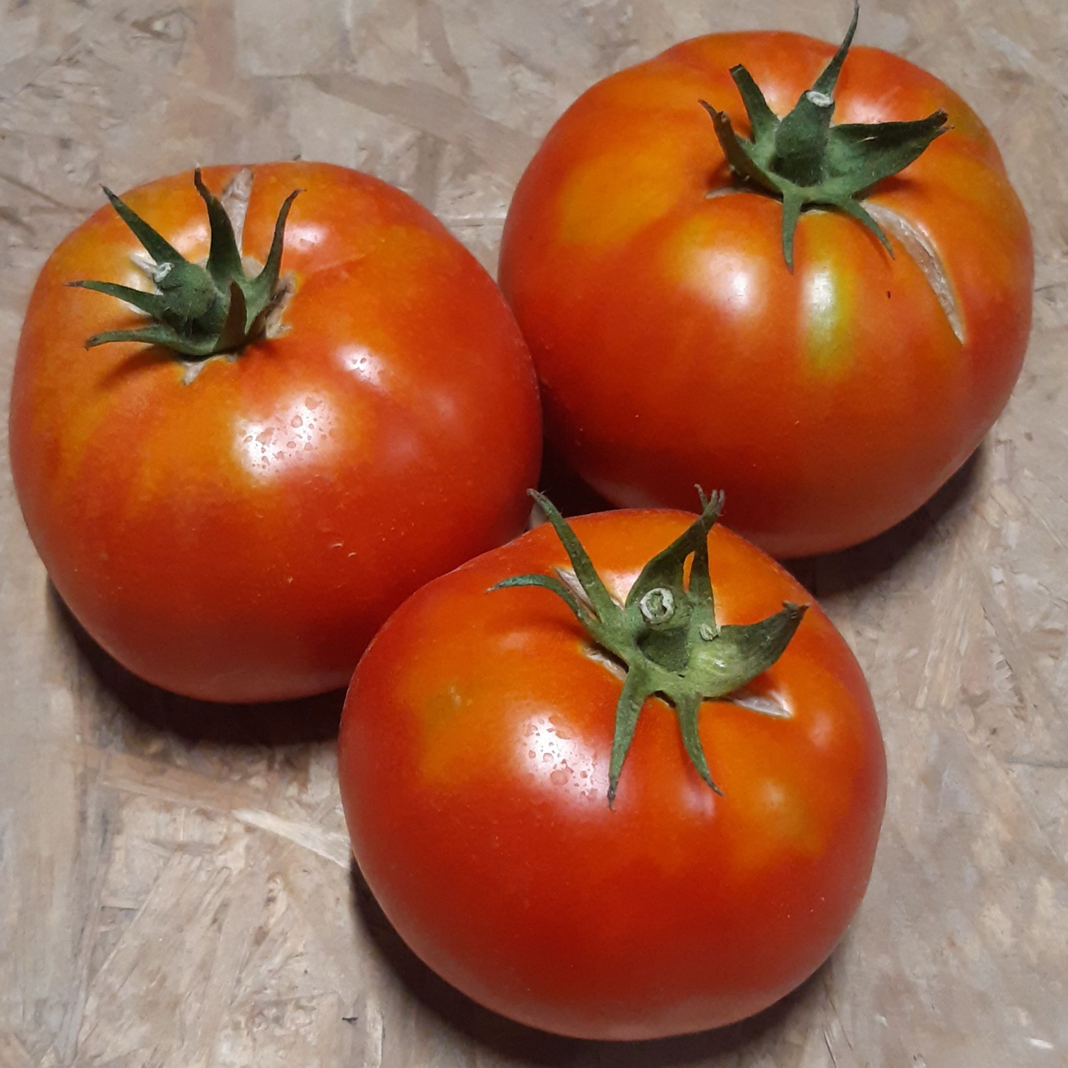 Tomate ronde - 500g