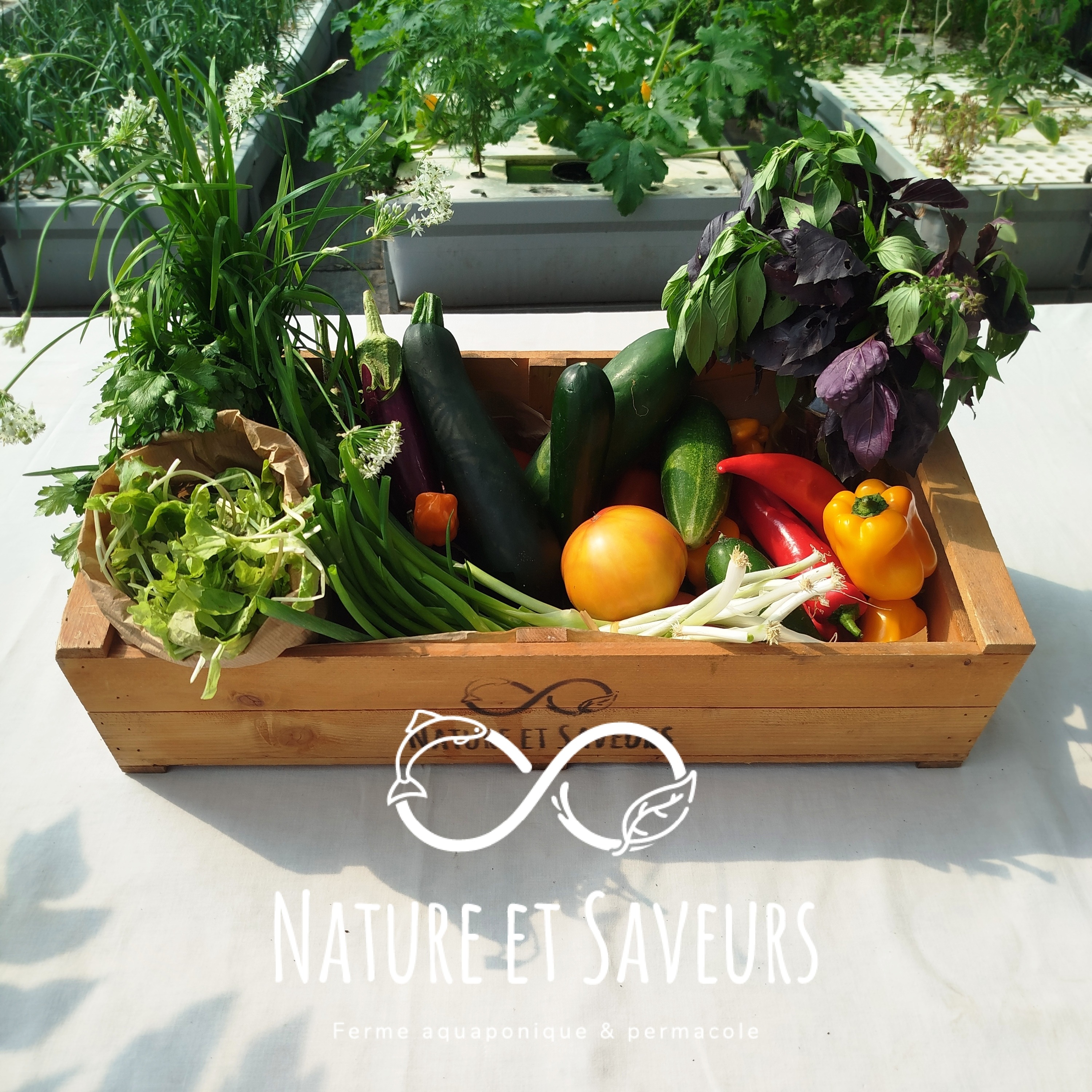 Grand Panier de légumes Astérien - 4500g