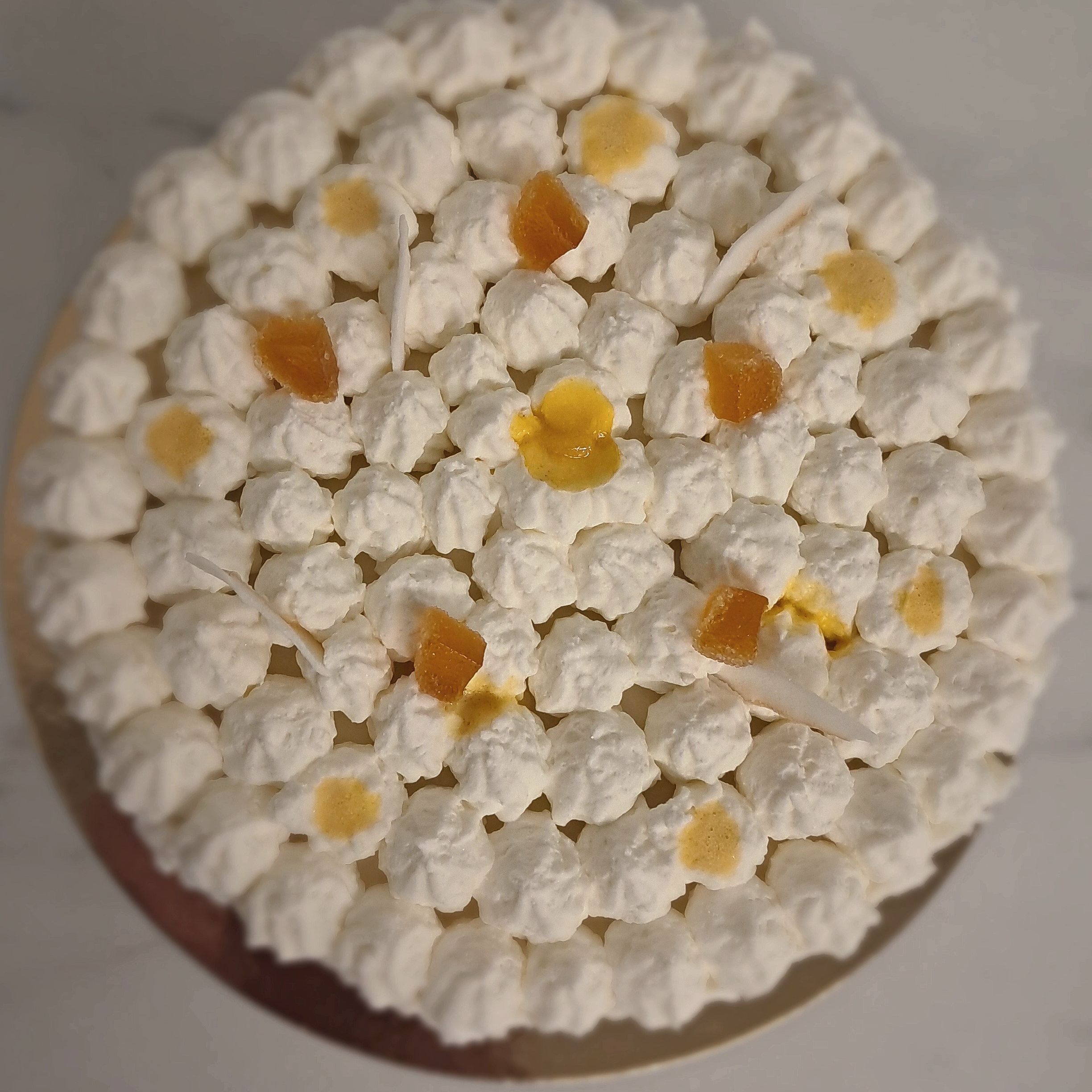 Vacherin coco passion
