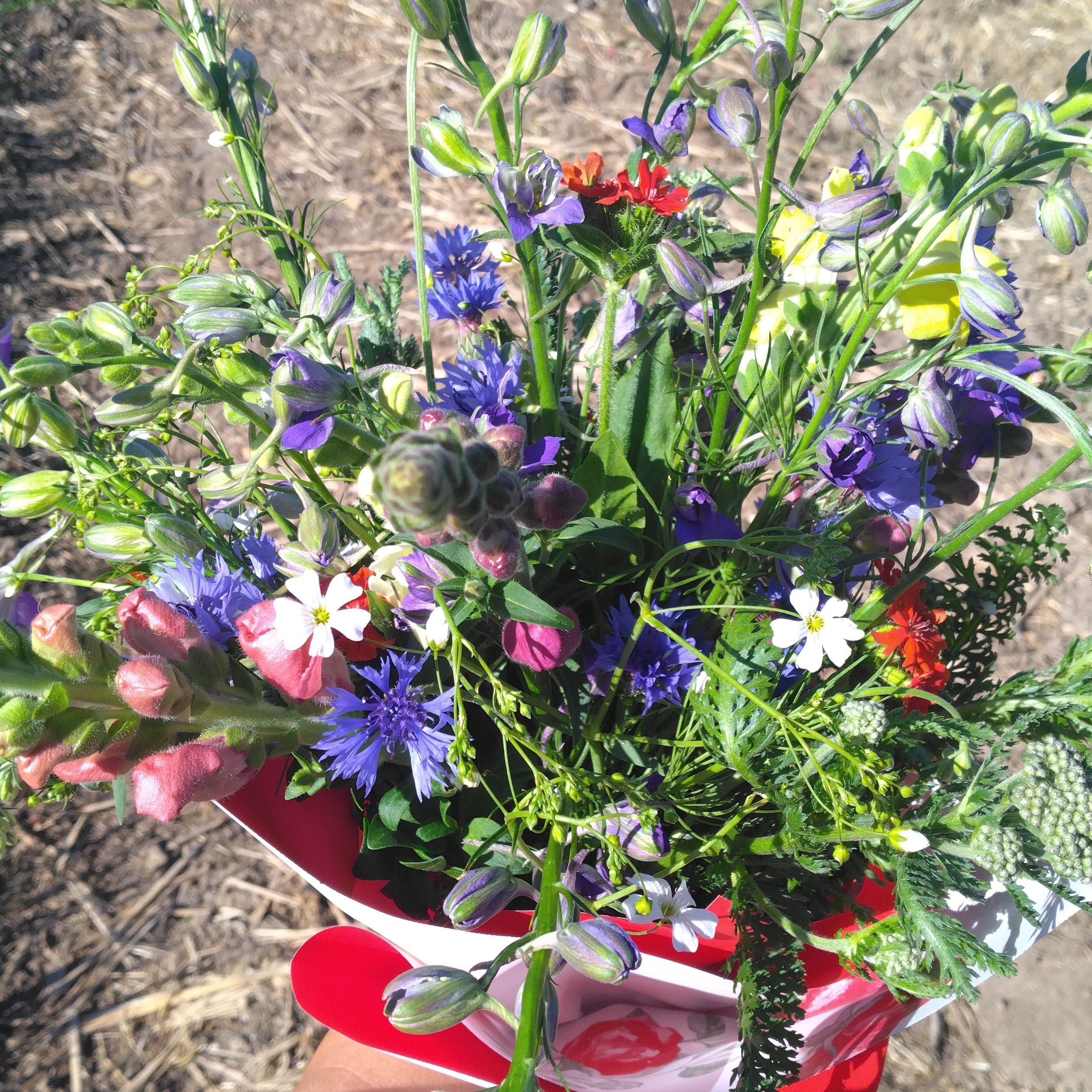 Mon bouquet champêtre
