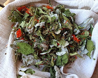 Tisane 2 Printemps - Phase pré-ovulatoire/Folliculaire - 20g
