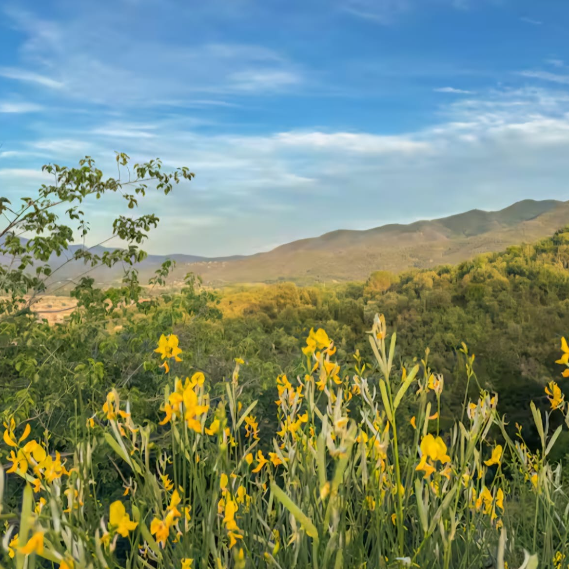 Cultures et systèmes écologiques(1h30)