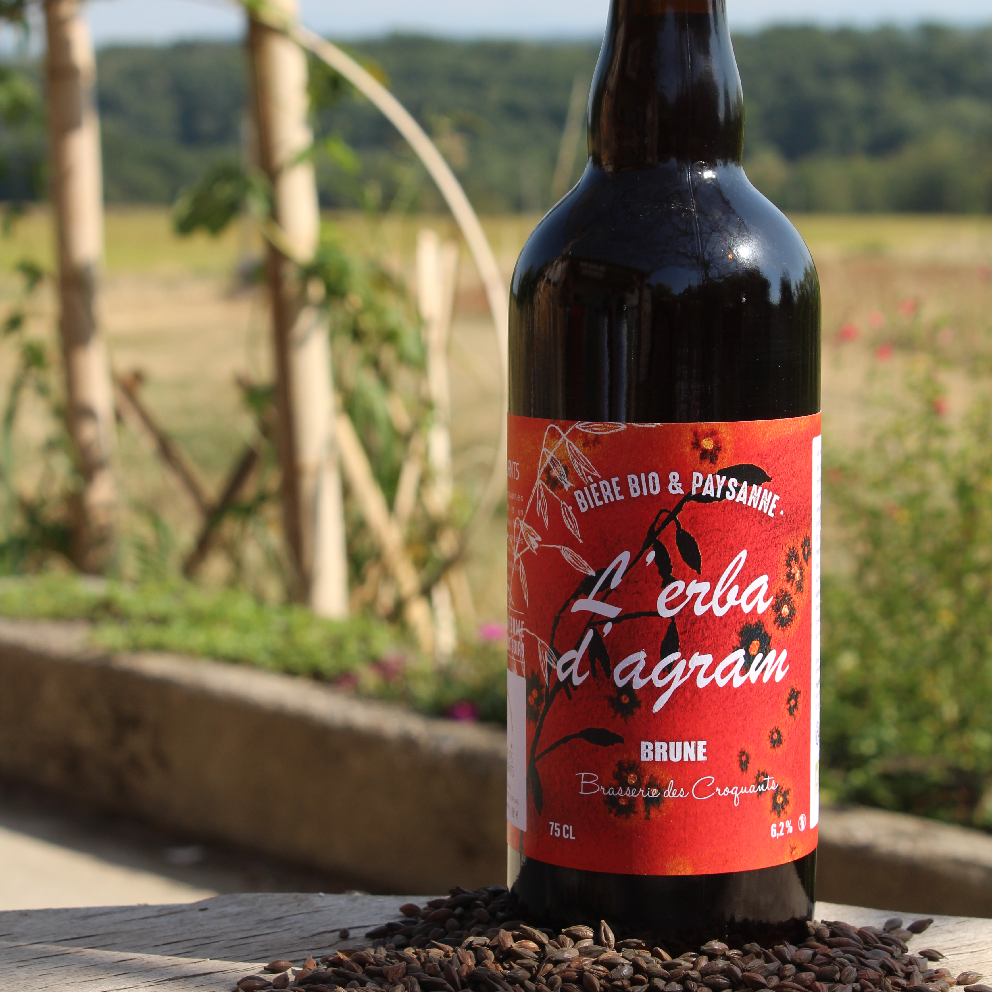 Brune - L'erba d'agram