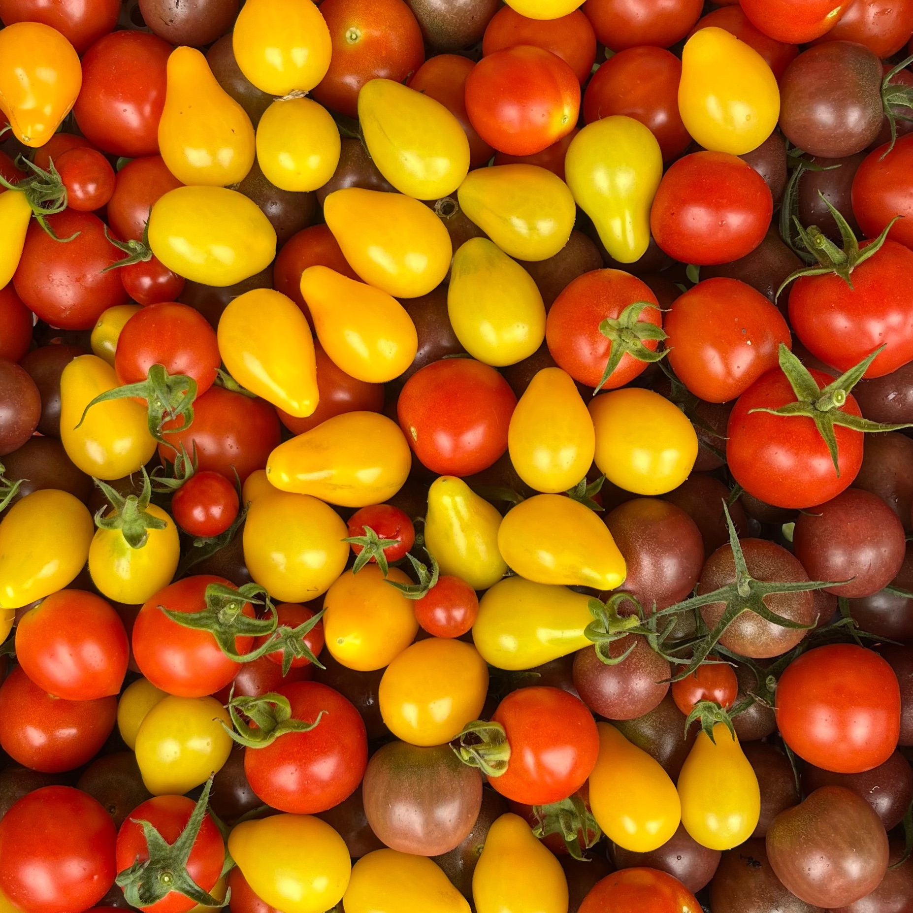 Tomate Cerise (250G)