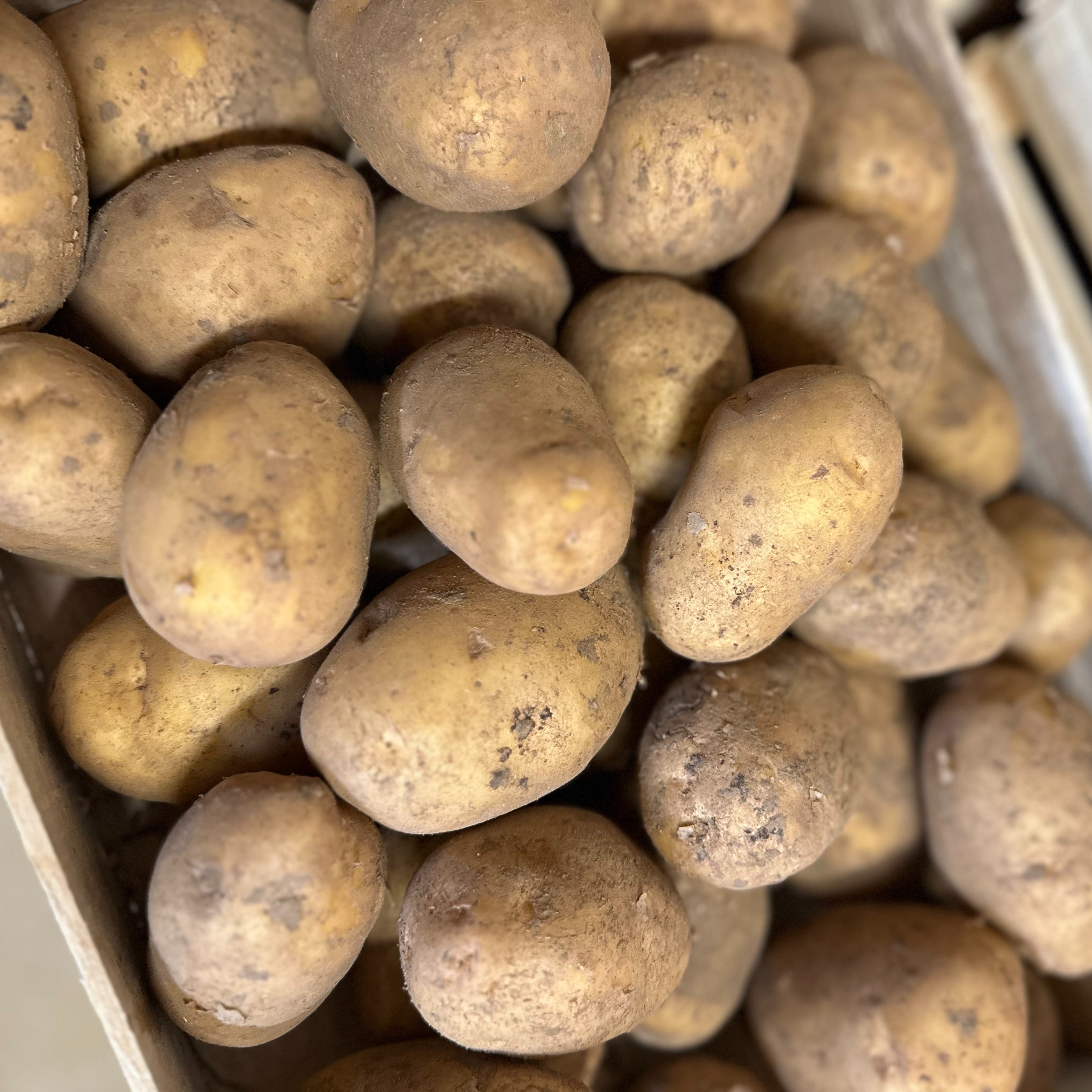 Pommes de terre purée/frites