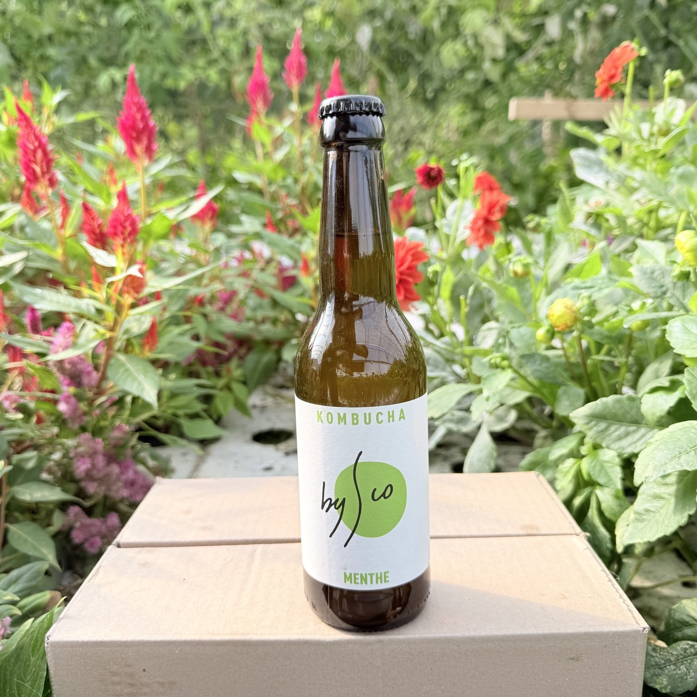 Kombucha Menthe Bio Bysco - 33cl