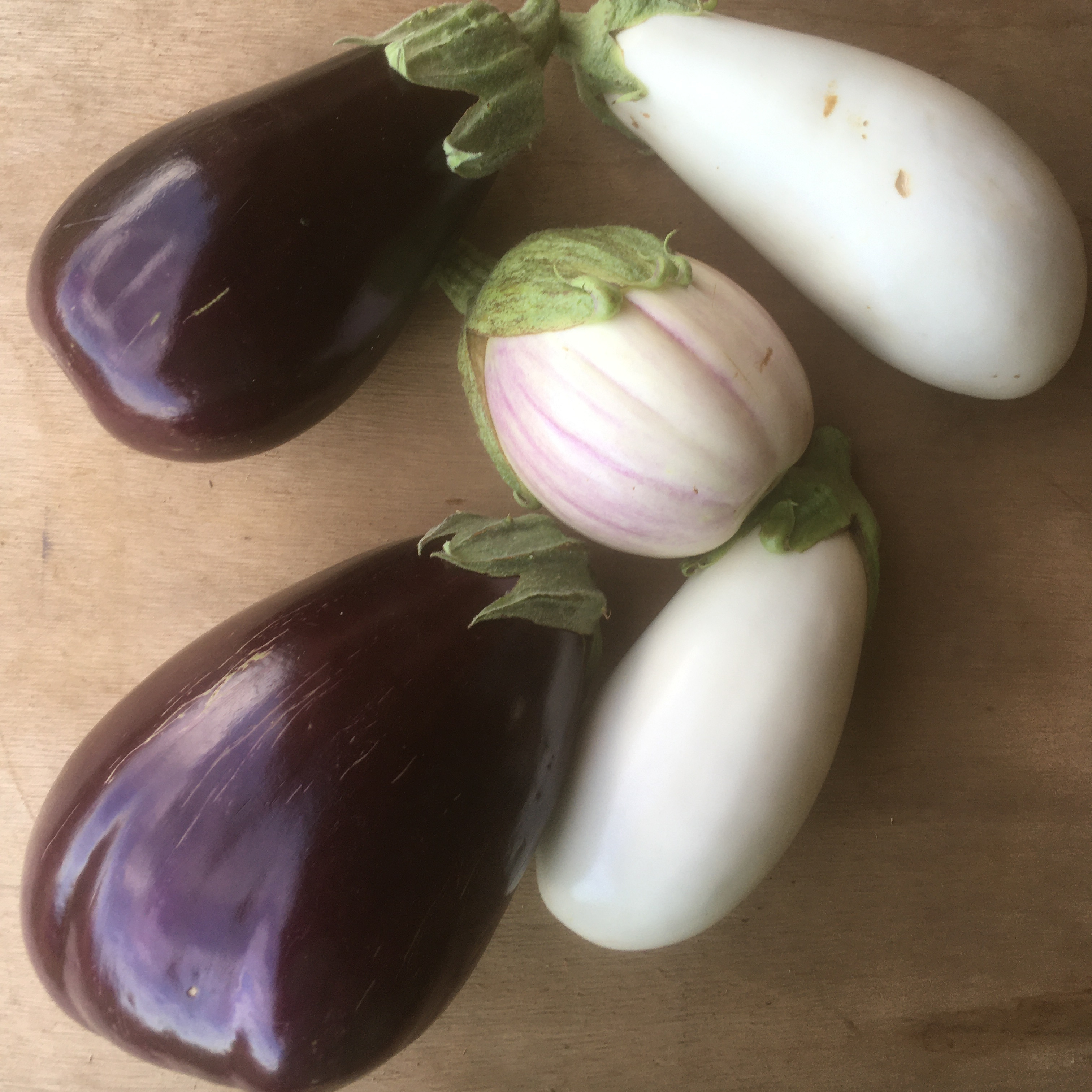Aubergine - 250g