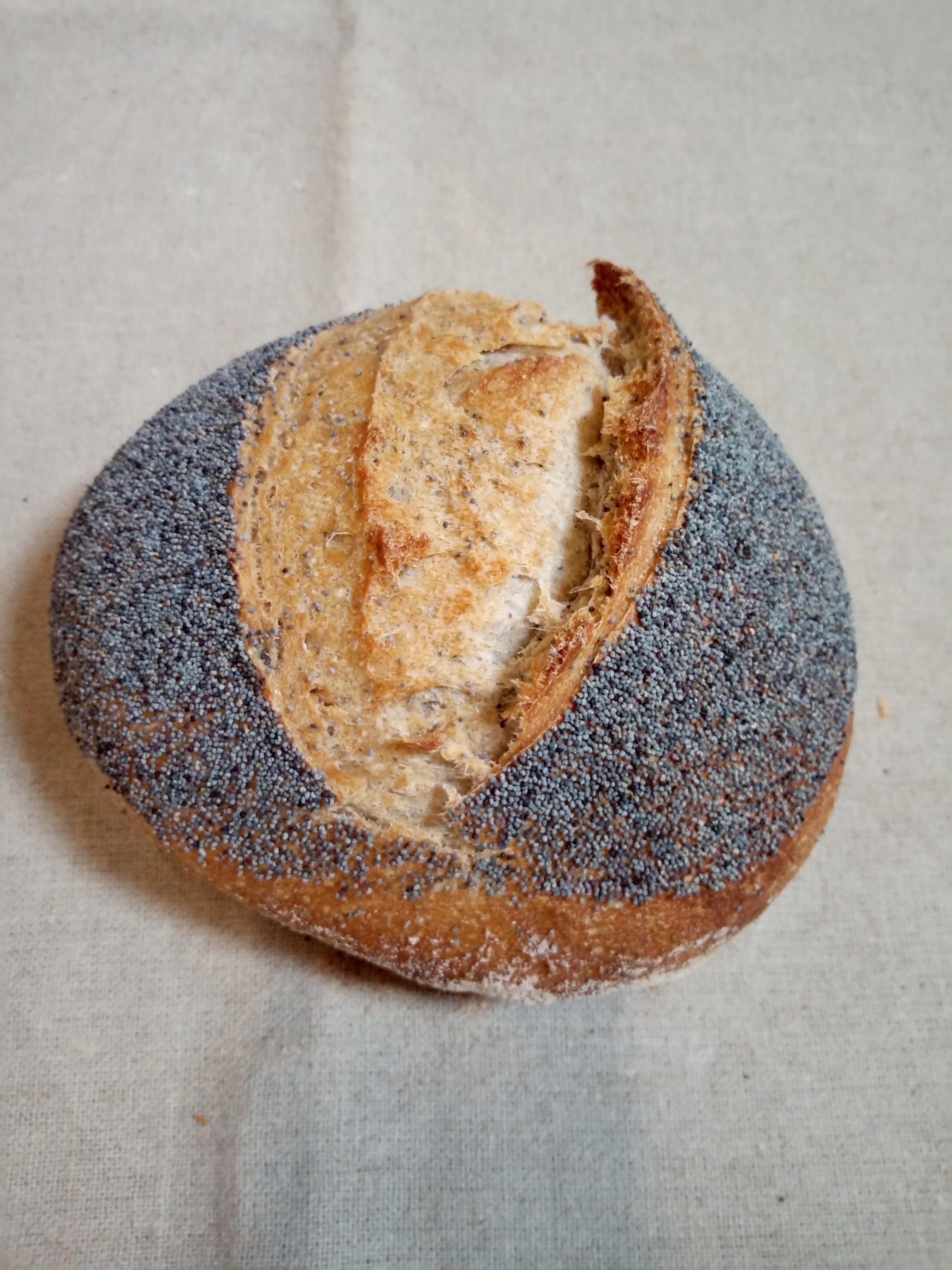 Pain aux graines de pavot