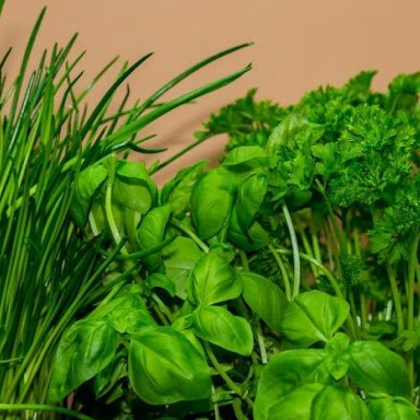 Aromatiques (persil, ciboulette, basilic) - 8 mini mottes