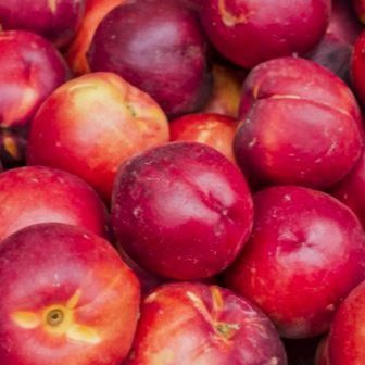 Nectarine au Kg