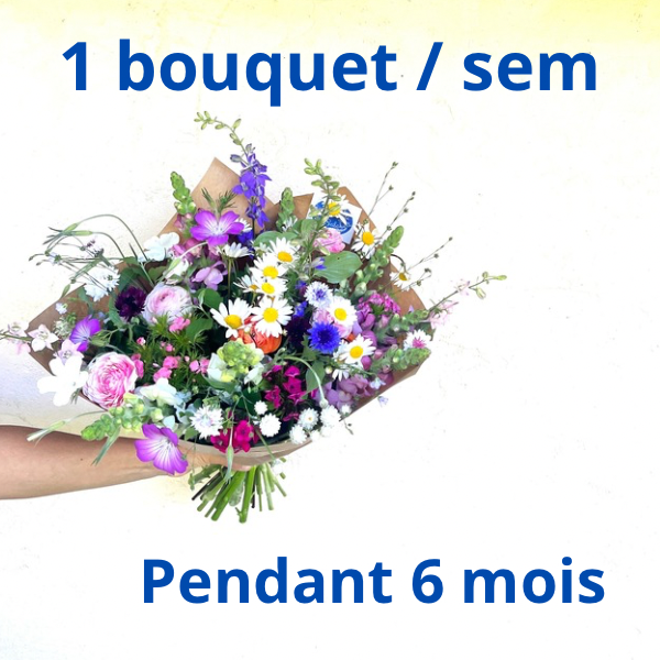 Abonnement 1 bouquet / semaine pendant 6 mois